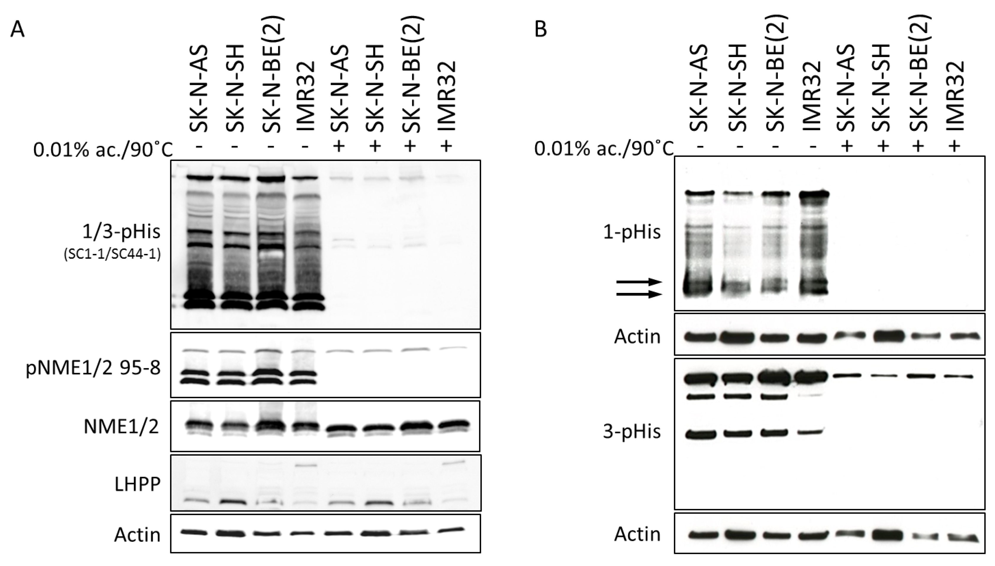 Ijms 21 03319 g002 Ijms 21 03319 g002