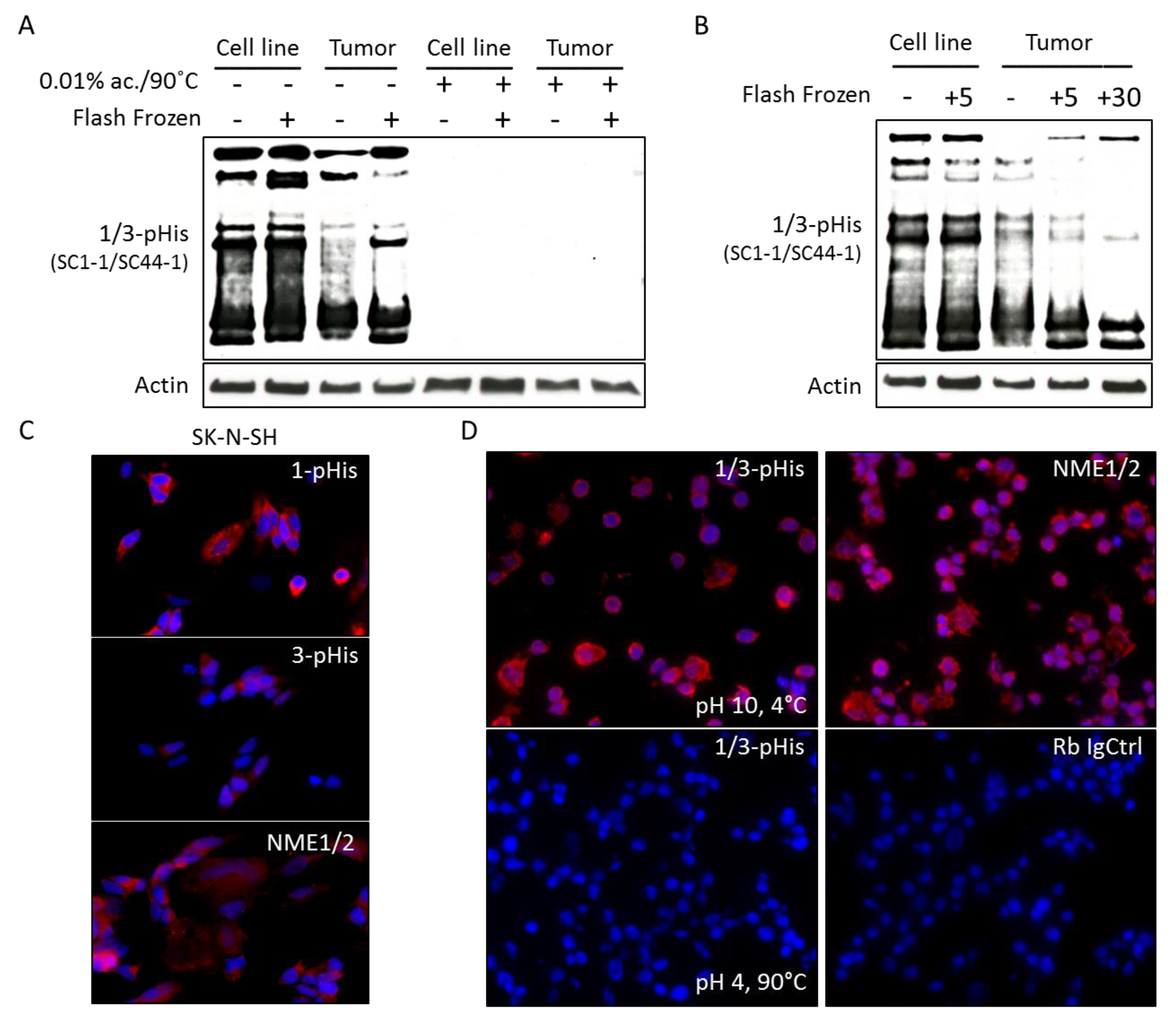 Ijms 21 03319 g003 Ijms 21 03319 g003