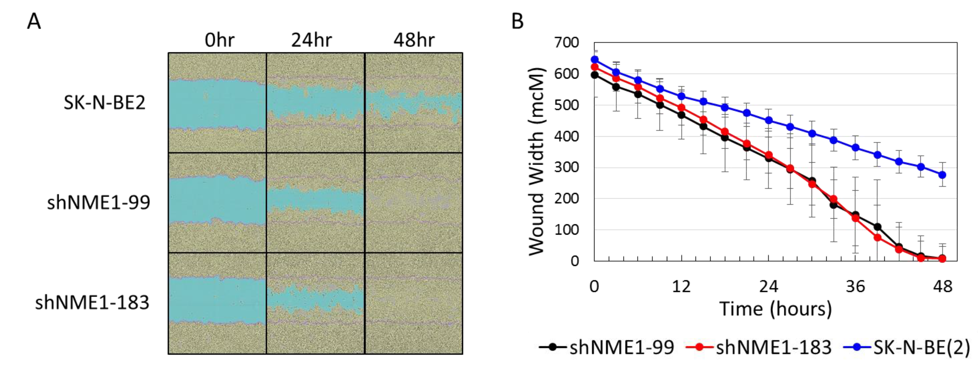 Ijms 21 03319 g005 Ijms 21 03319 g005