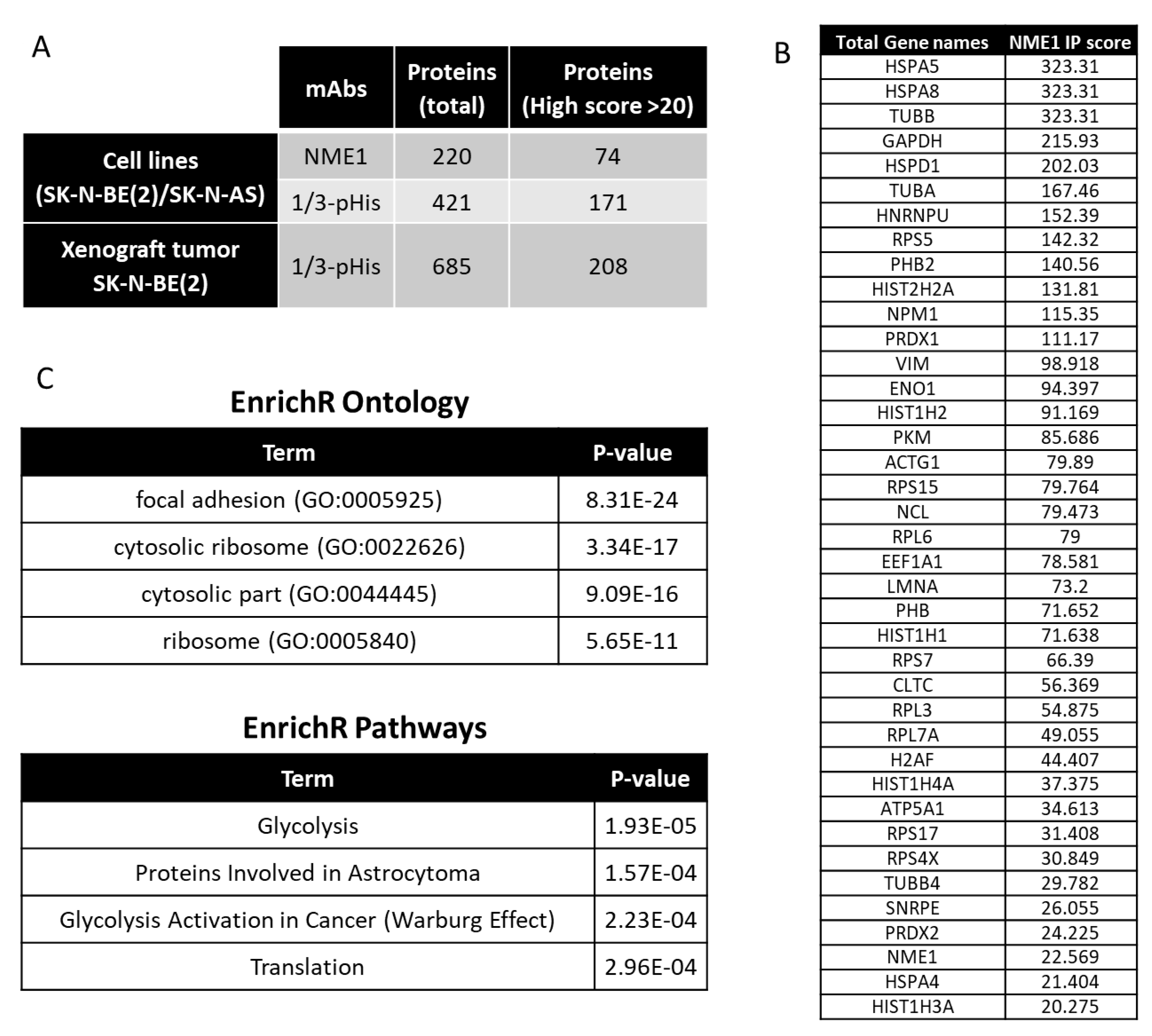 Ijms 21 03319 g007 Ijms 21 03319 g007