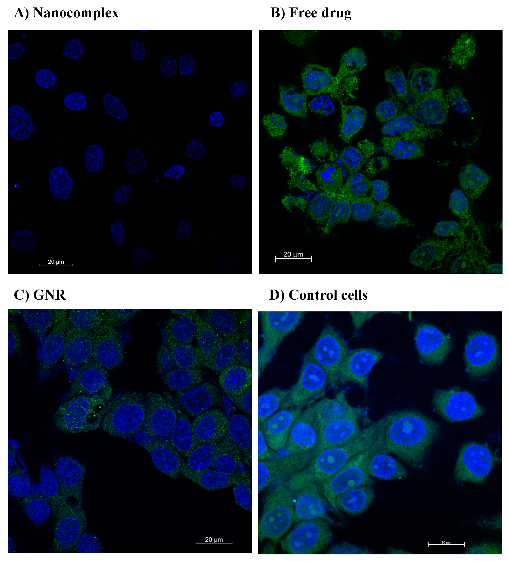 Ijms 21 03320 g002 Ijms 21 03320 g002