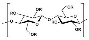 Ijms 21 03332 i003 Ijms 21 03332 i003