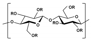 Ijms 21 03332 i004 Ijms 21 03332 i004
