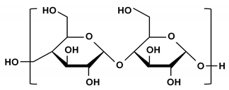 Ijms 21 03332 i005 Ijms 21 03332 i005