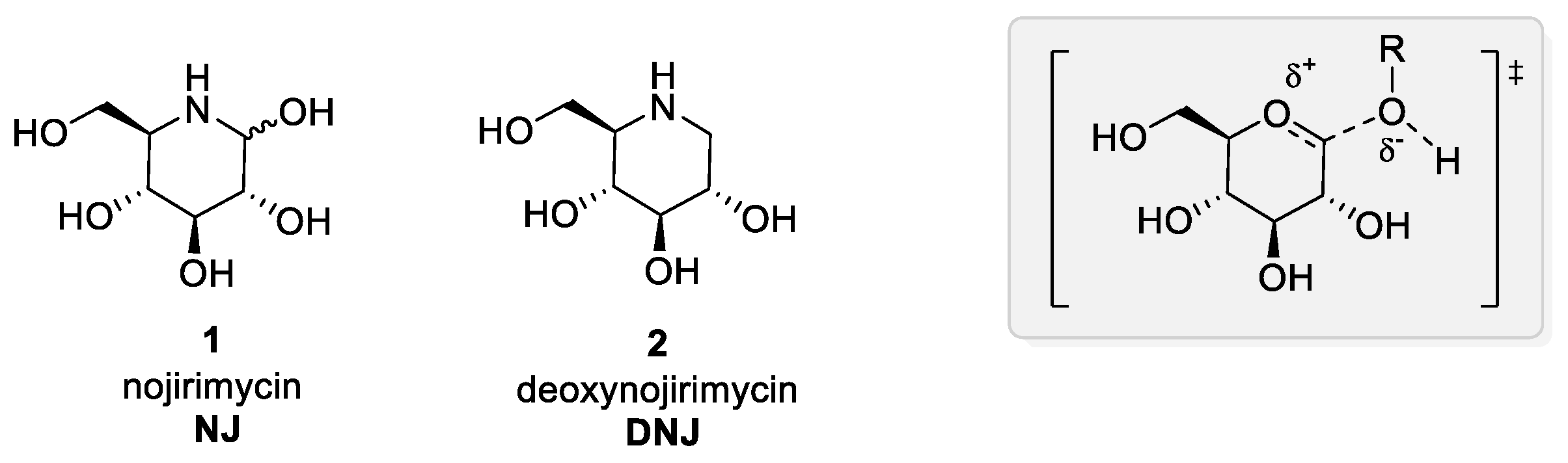 Ijms 21 03353 g002 Ijms 21 03353 g002