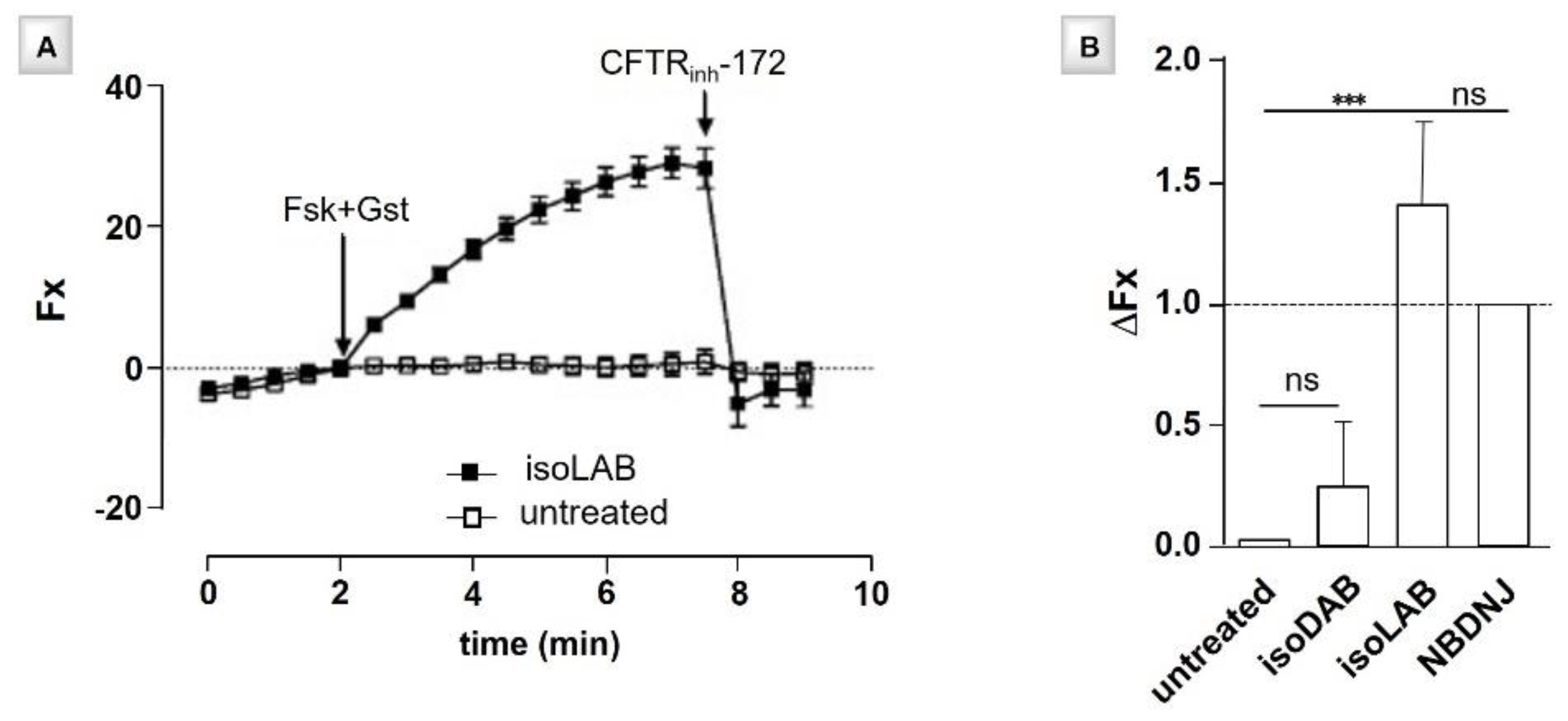 Ijms 21 03353 g011 Ijms 21 03353 g011