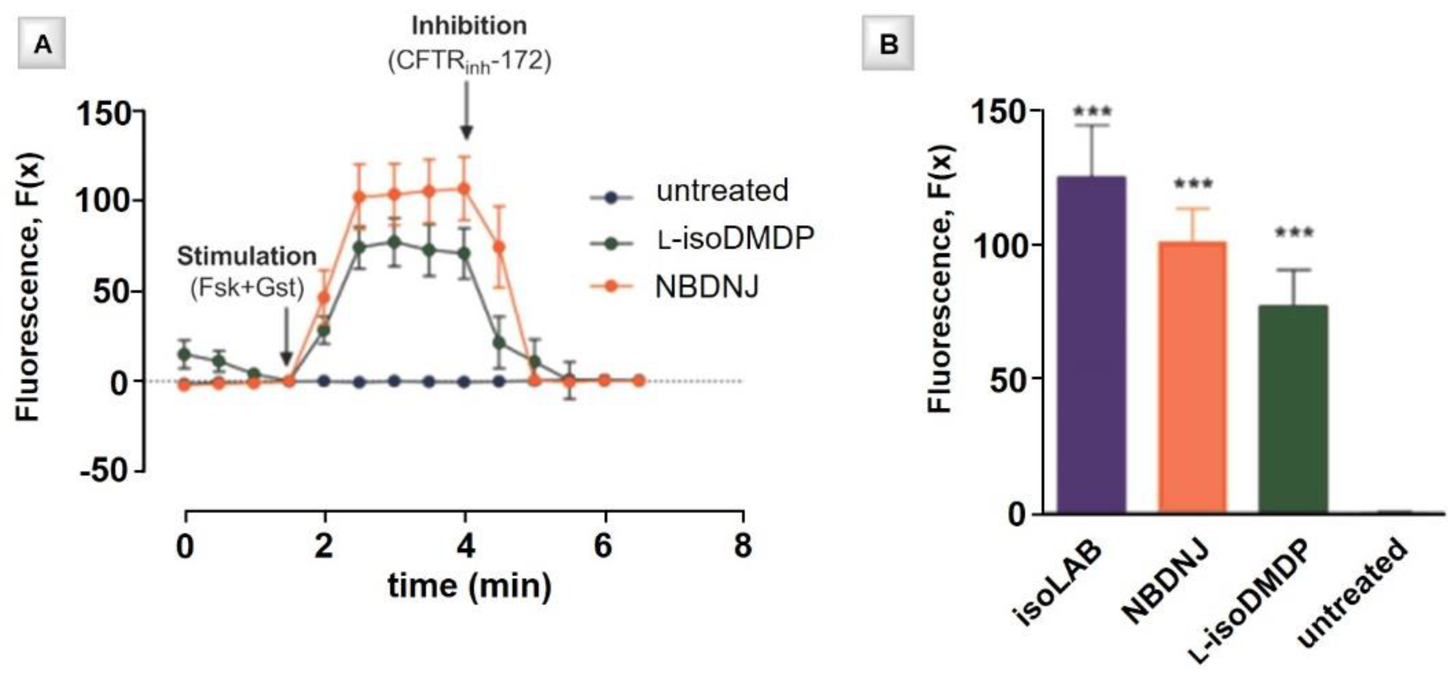 Ijms 21 03353 g012 Ijms 21 03353 g012