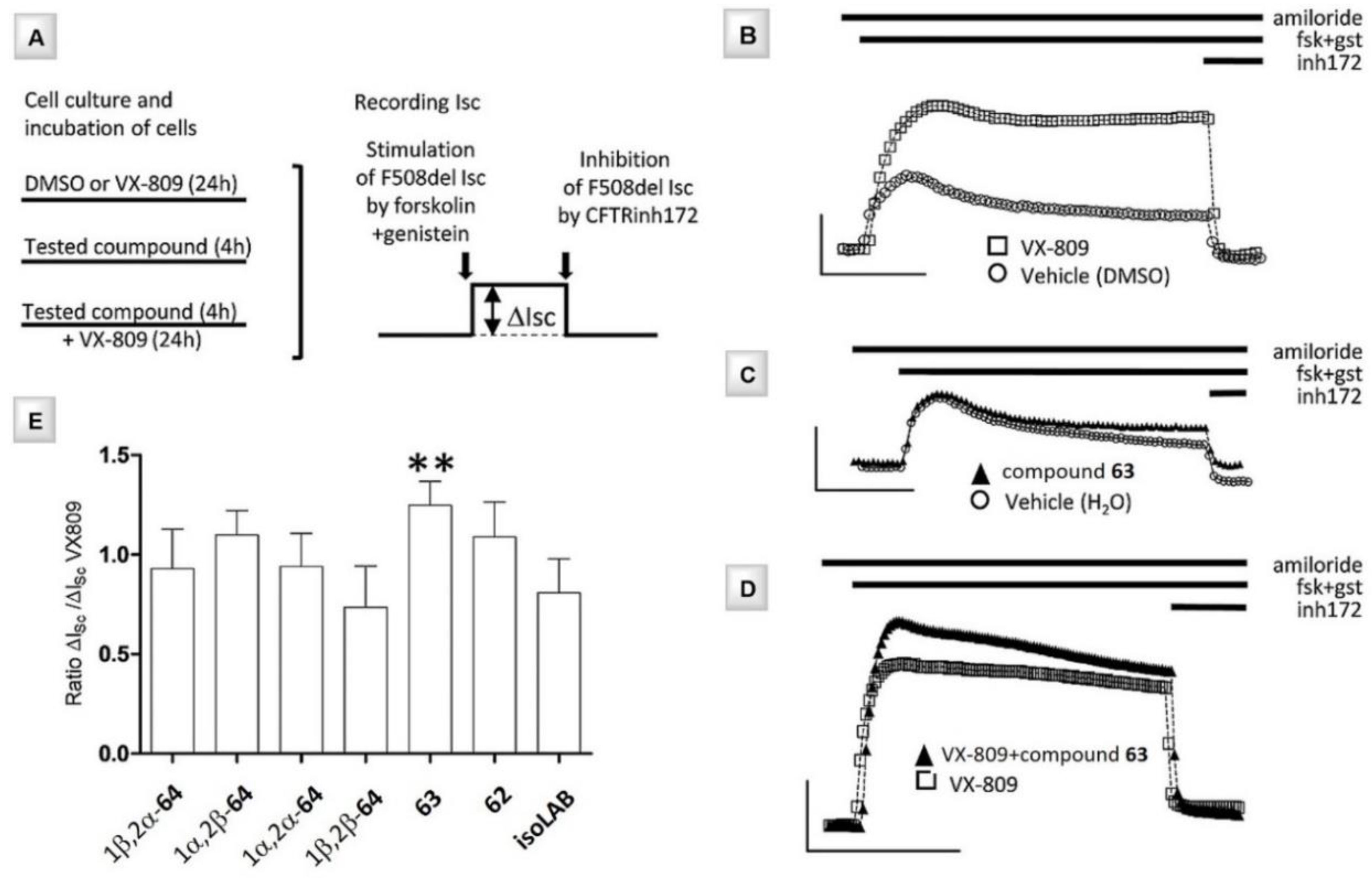 Ijms 21 03353 g013 Ijms 21 03353 g013