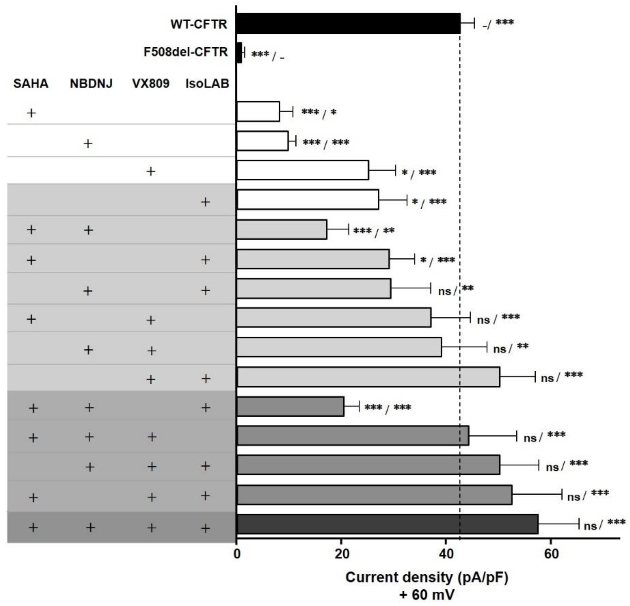 Ijms 21 03353 g017 Ijms 21 03353 g017