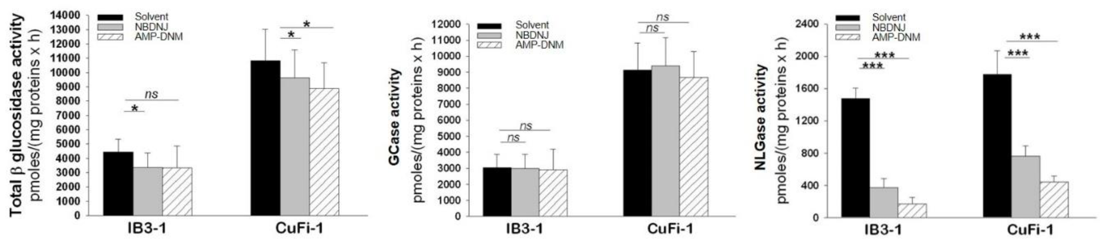 Ijms 21 03353 g020 Ijms 21 03353 g020