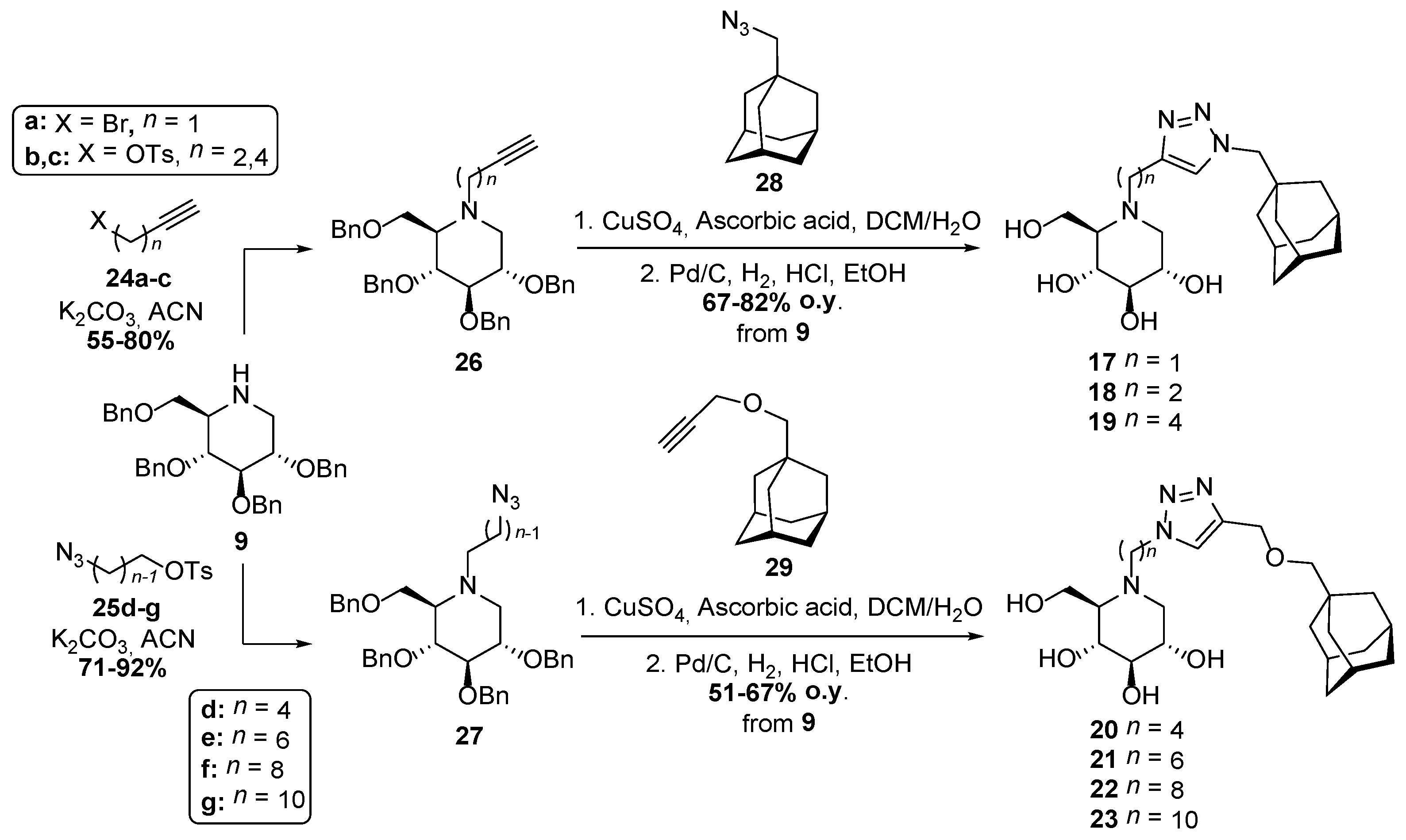 Ijms Free Full Text Synthesis And Therapeutic Applications Of Iminosugars In Cystic Fibrosis Html Ijms Free Full Text Synthesis And Therapeutic Applications Of Iminosugars In Cystic Fibrosis Html