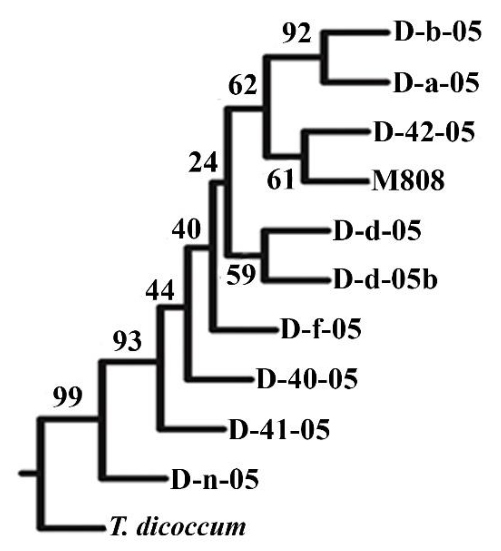 Ijms Free Full Text Drought Stress Tolerance And Photosynthetic Activity Of Alloplasmic Lines T Dicoccum X T Aestivum Ijms Free Full Text Drought Stress Tolerance And Photosynthetic Activity Of Alloplasmic Lines T Dicoccum X T Aestivum