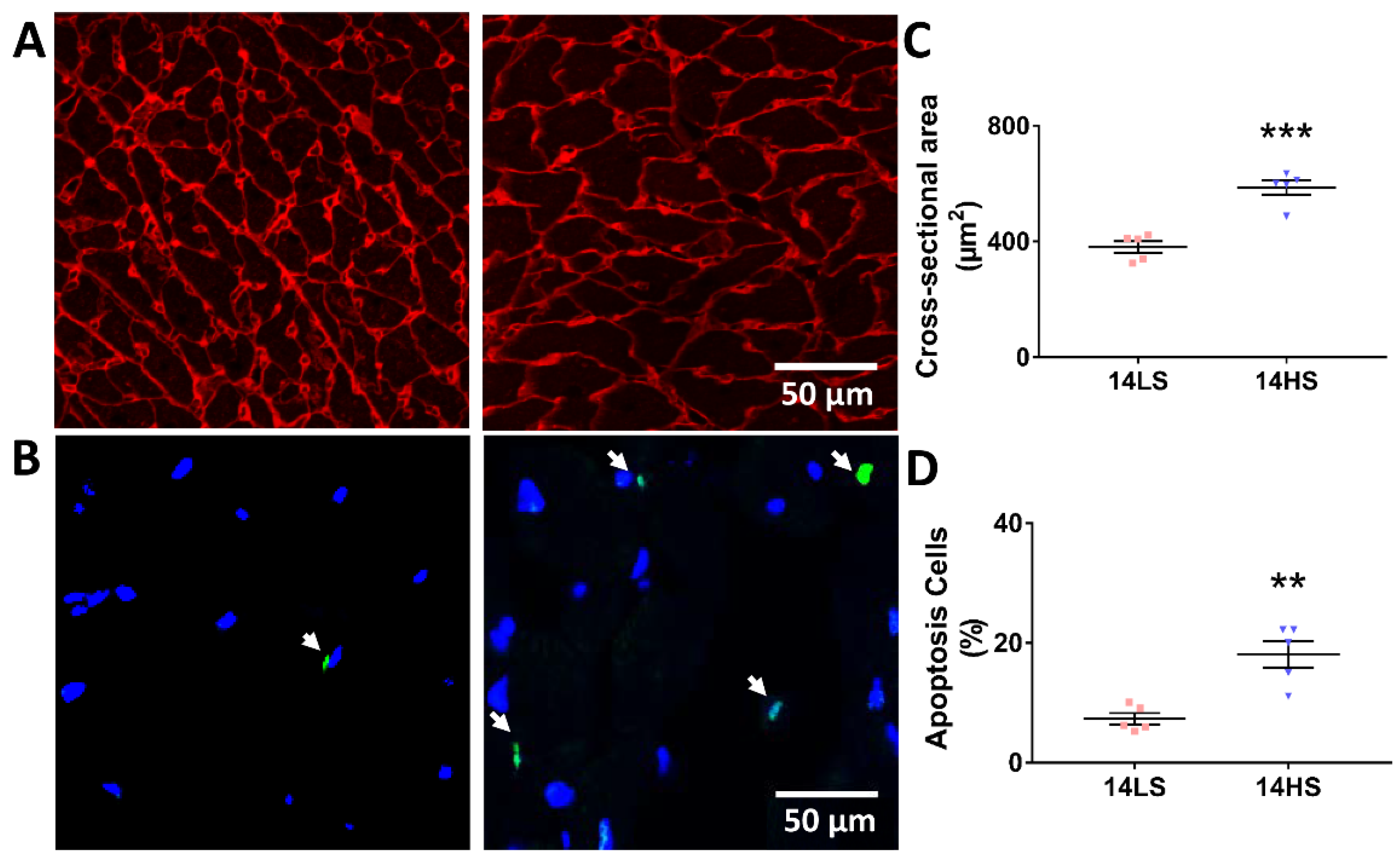 Ijms 21 03362 g004 Ijms 21 03362 g004