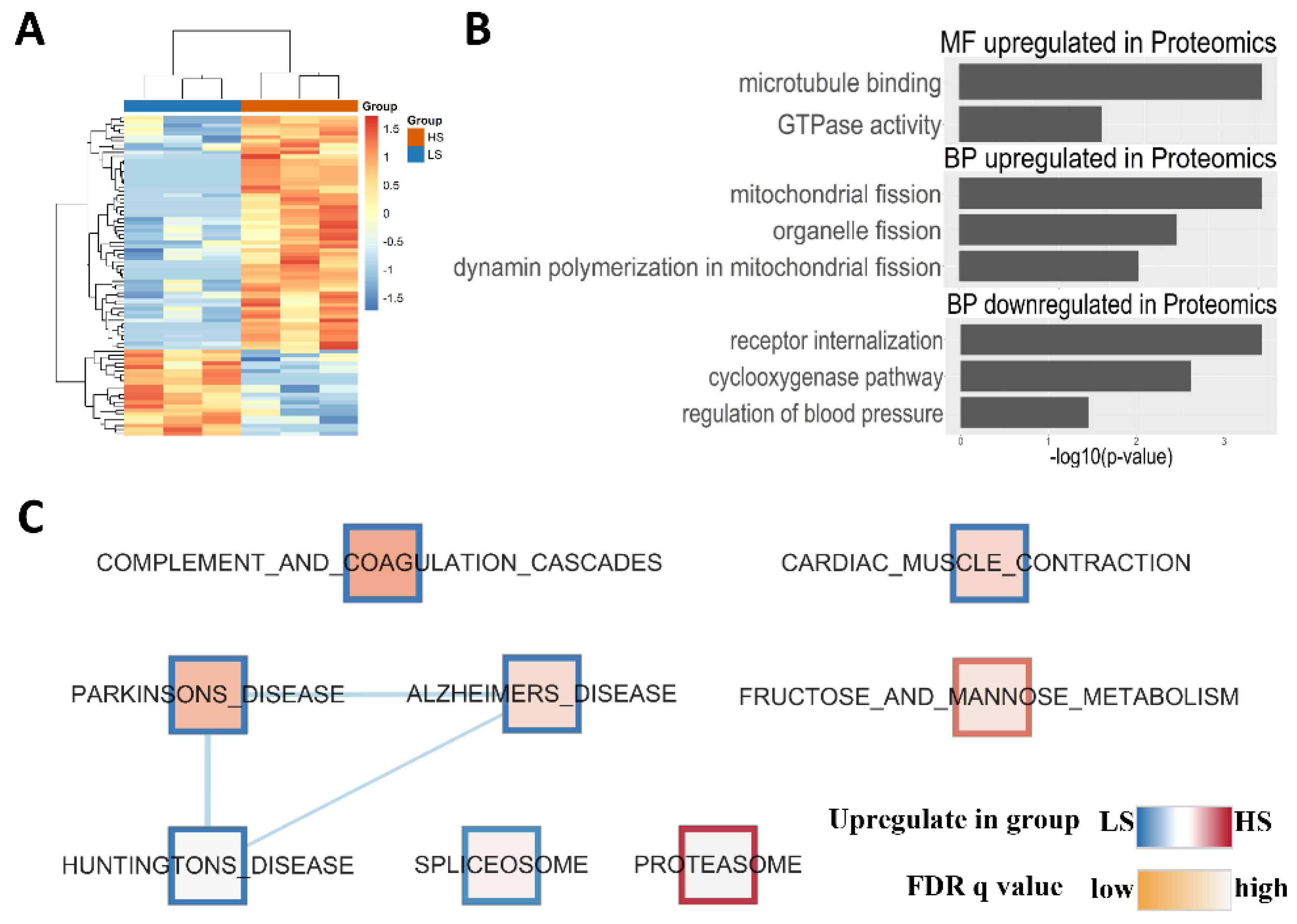Ijms 21 03362 g005 Ijms 21 03362 g005