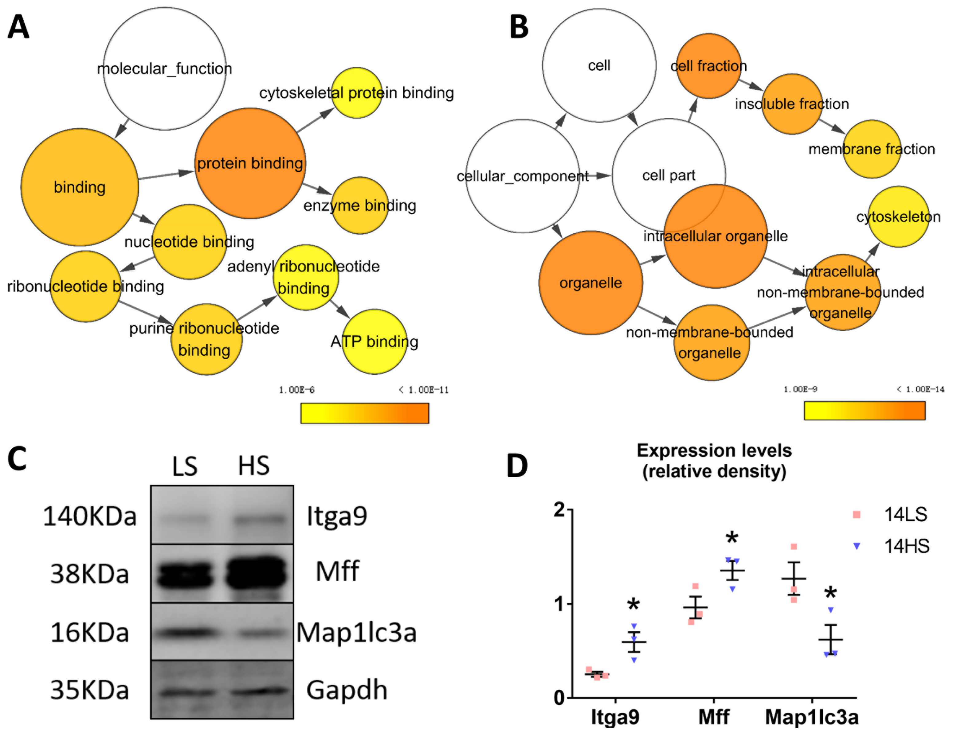 Ijms 21 03362 g006 Ijms 21 03362 g006