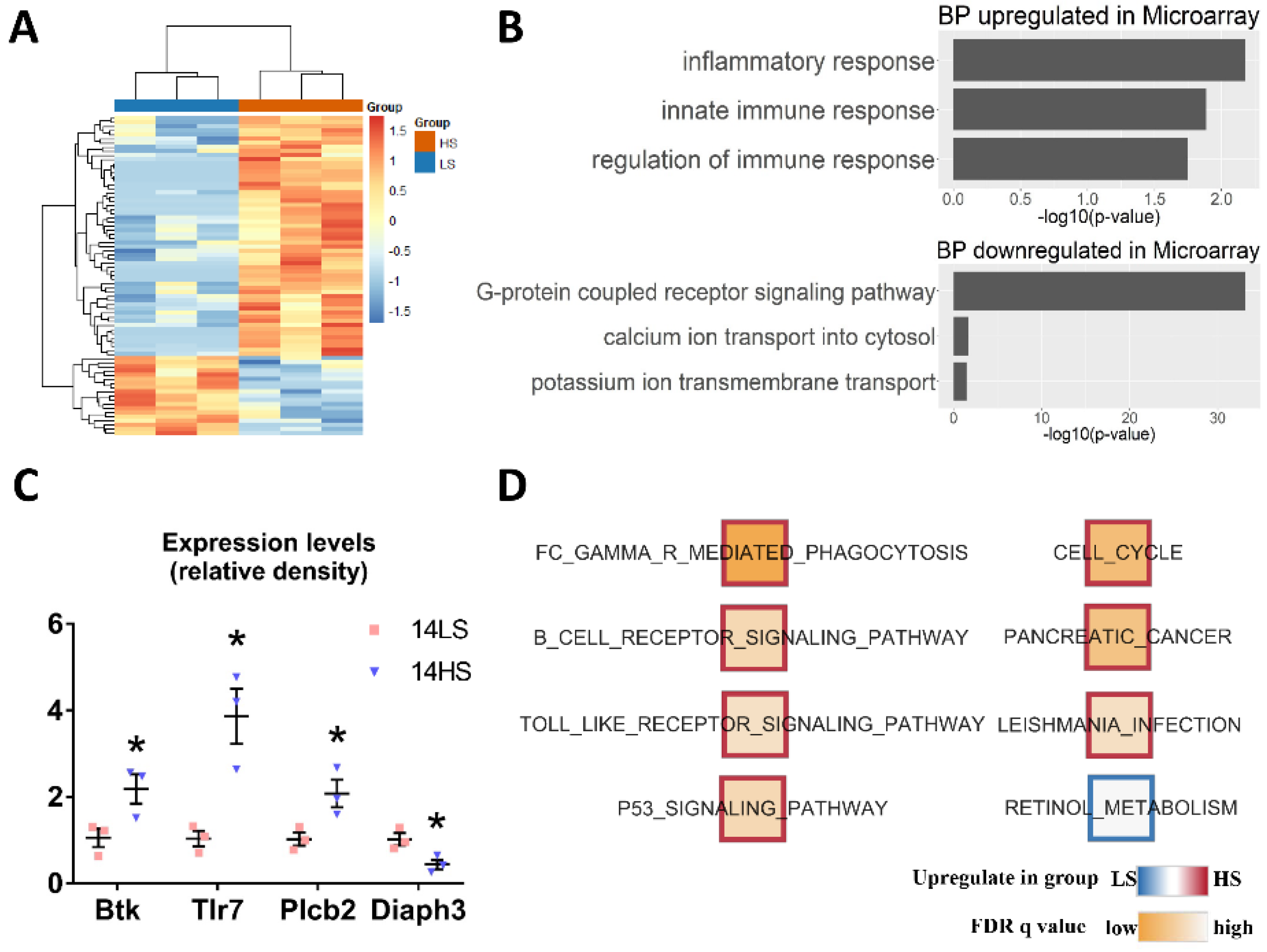 Ijms 21 03362 g007 Ijms 21 03362 g007