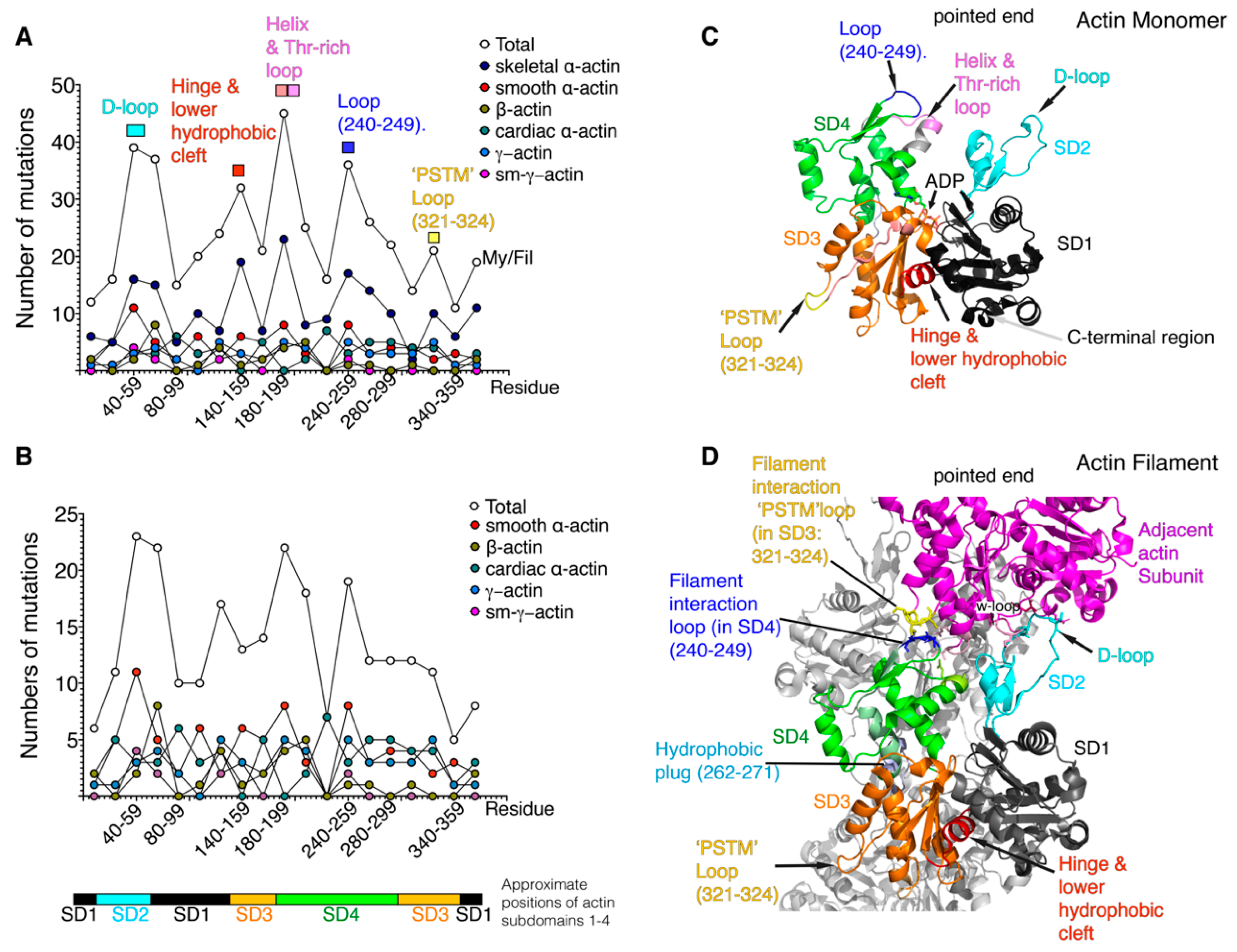 Ijms 21 03371 g002 Ijms 21 03371 g002