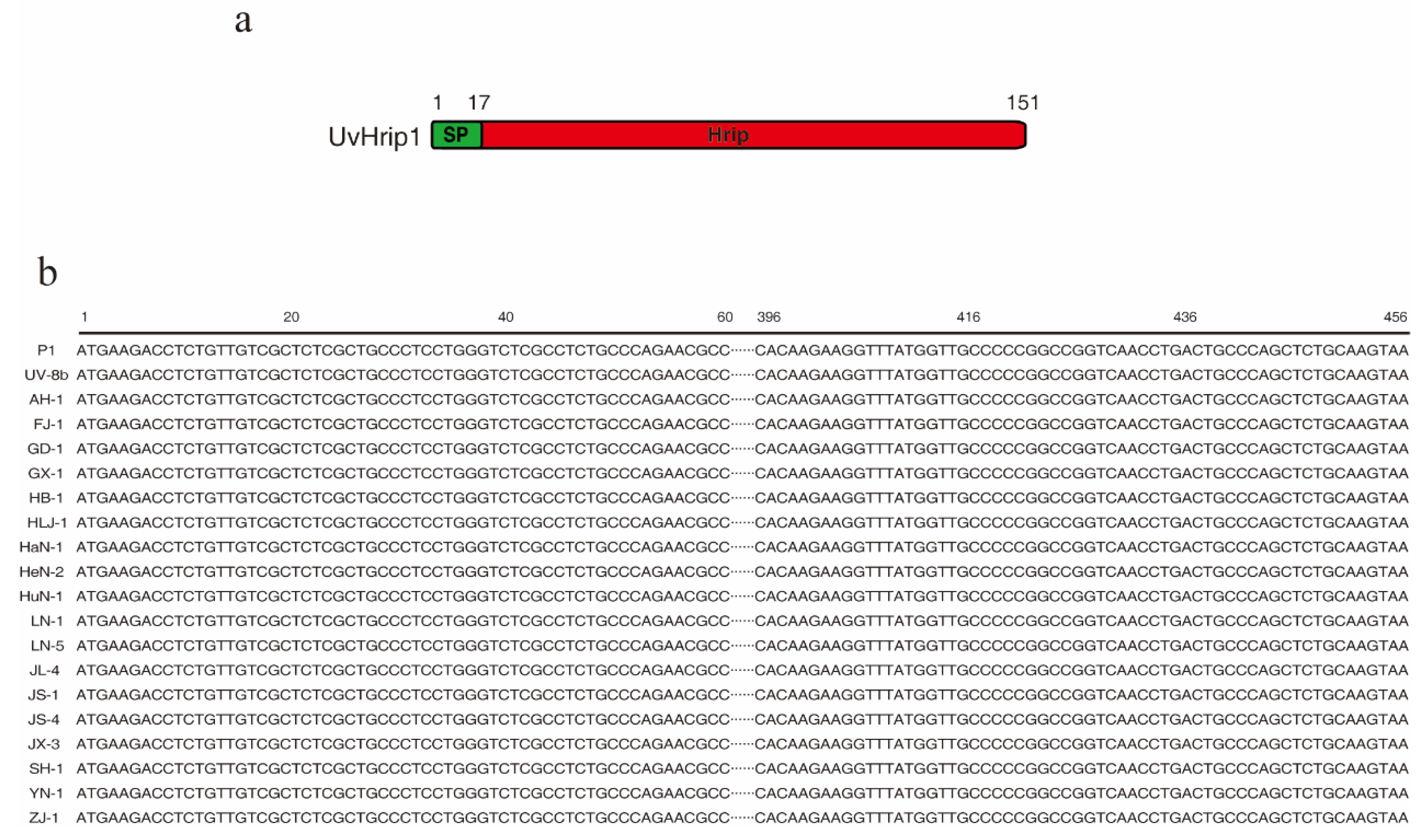Ijms 21 03376 g001 Ijms 21 03376 g001