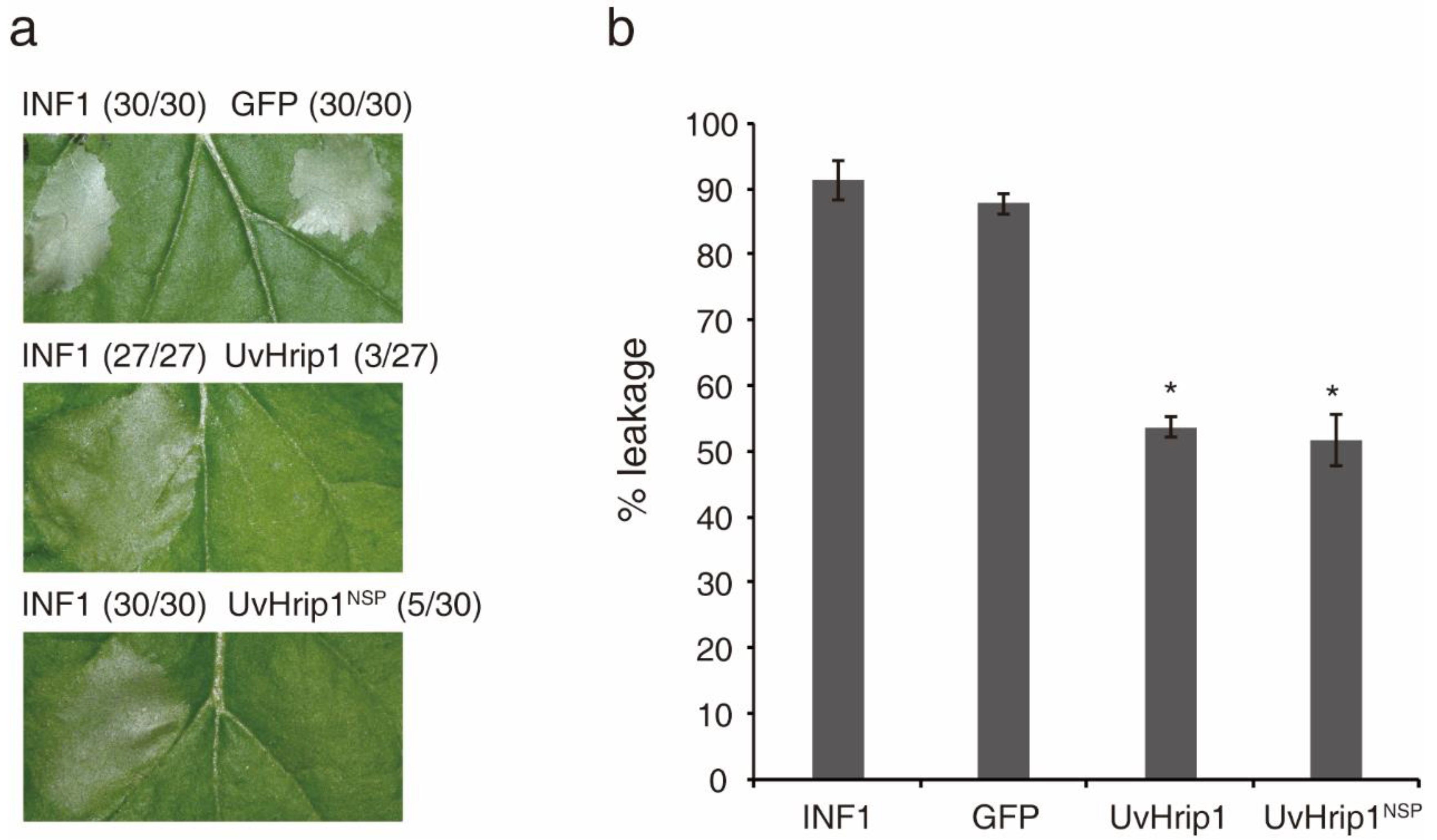 Ijms 21 03376 g002 Ijms 21 03376 g002