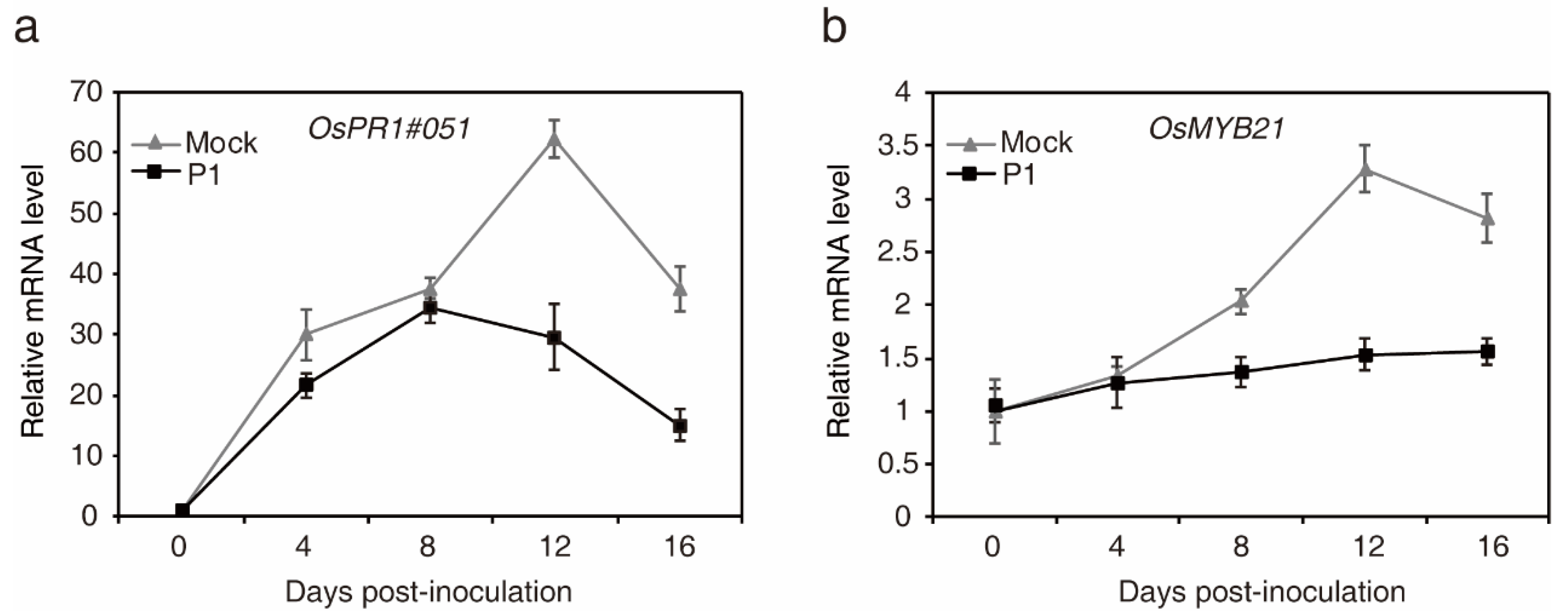Ijms 21 03376 g005 Ijms 21 03376 g005