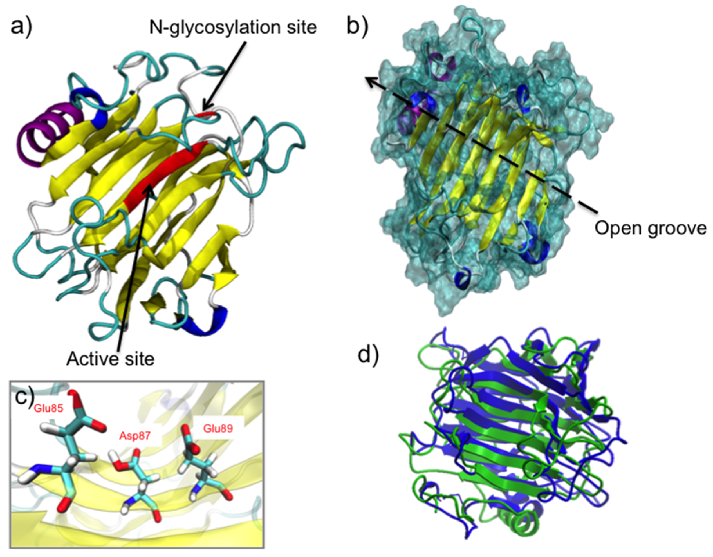 Ijms 21 03380 g002 Ijms 21 03380 g002