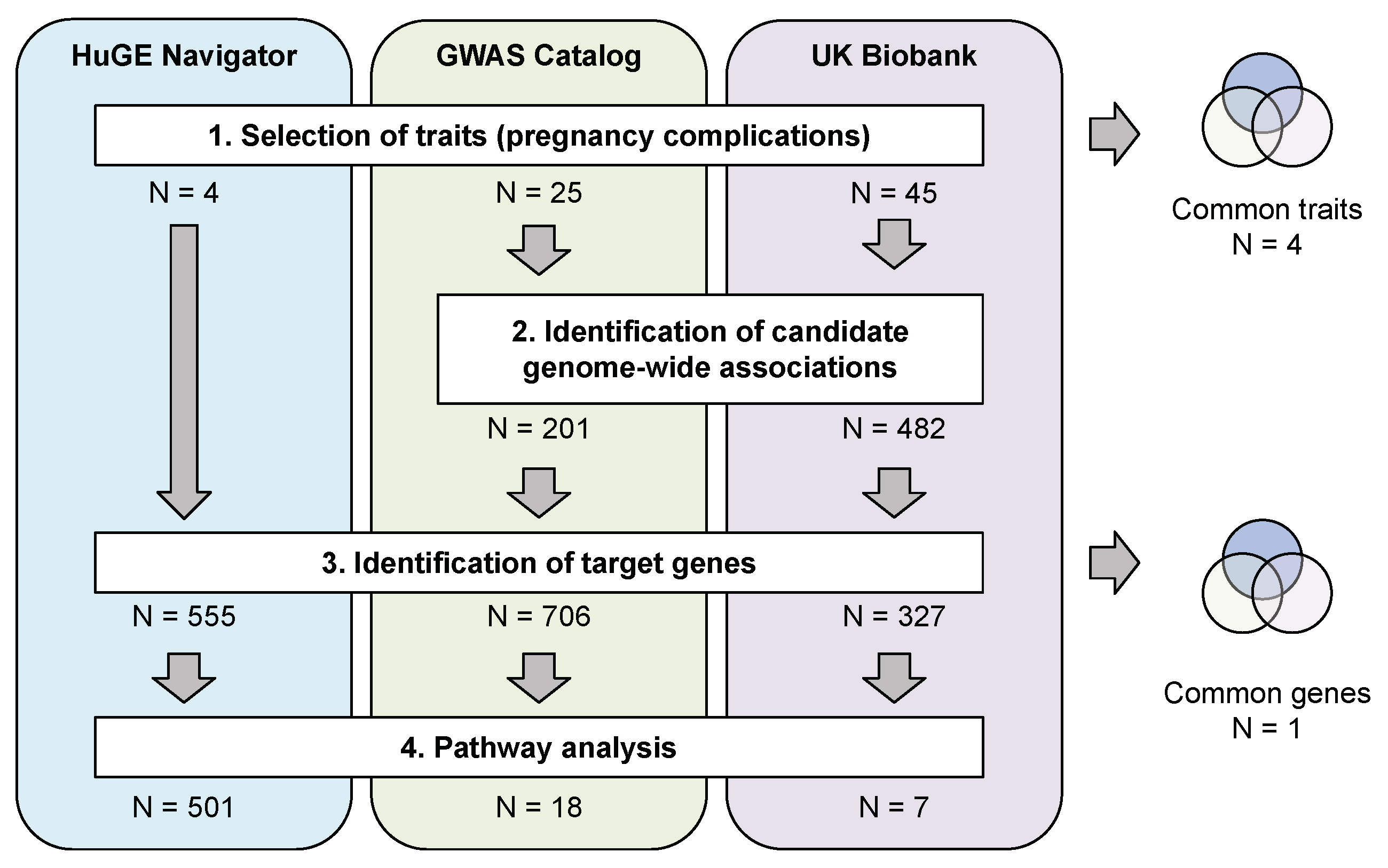 Ijms 21 03384 g001 Ijms 21 03384 g001