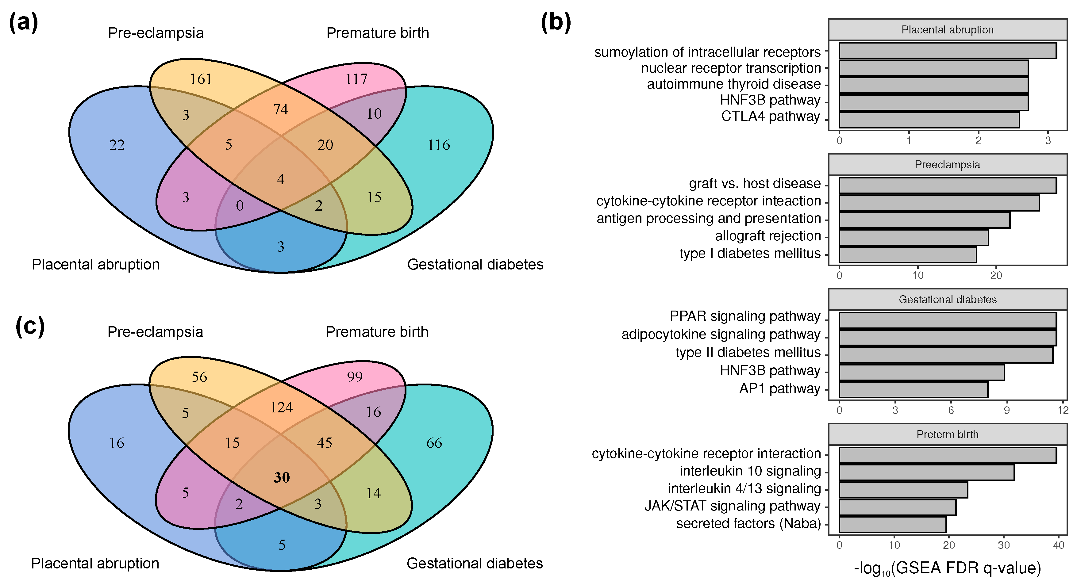 Ijms 21 03384 g002 Ijms 21 03384 g002