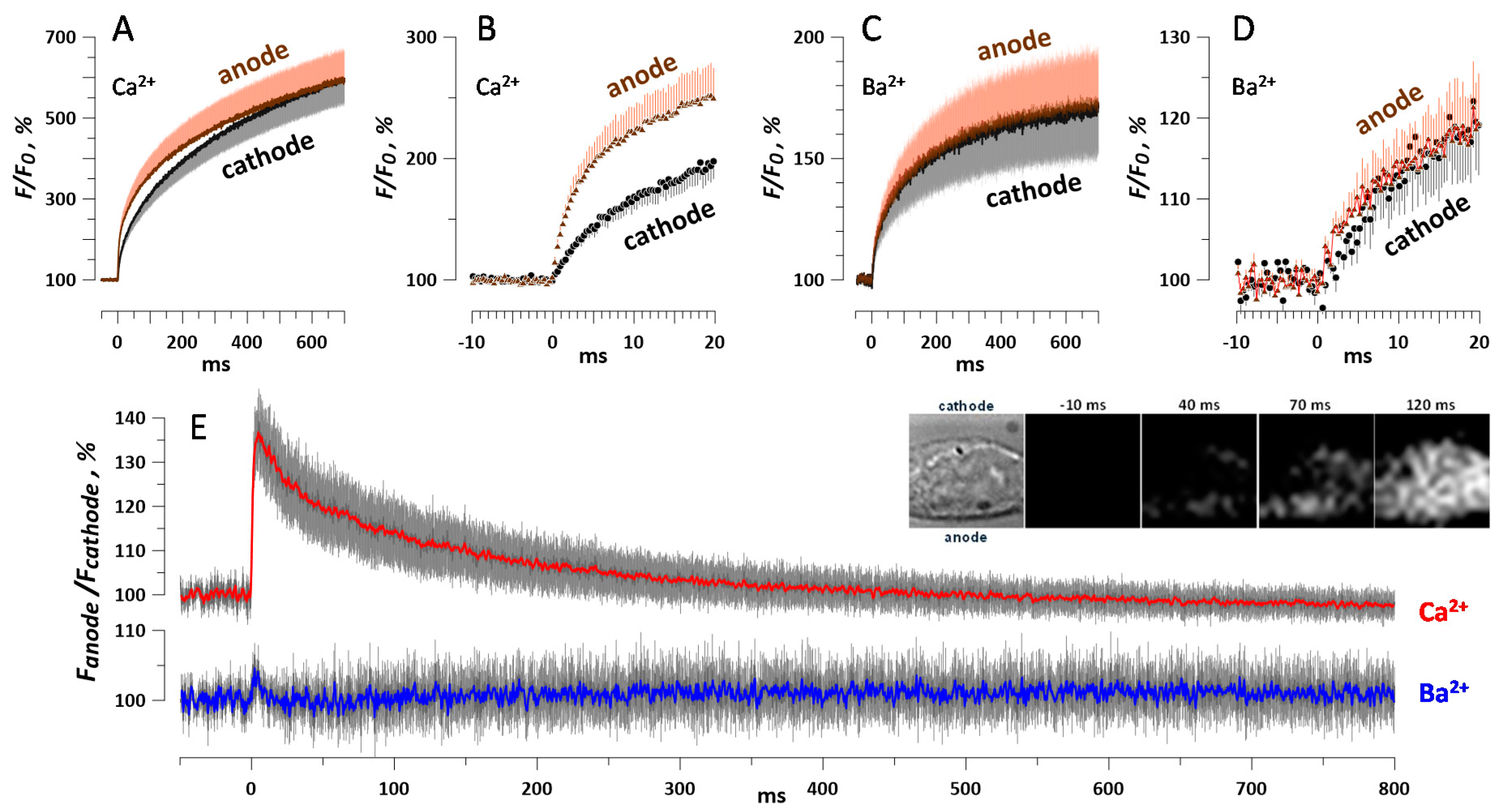 Ijms 21 03386 g008 Ijms 21 03386 g008