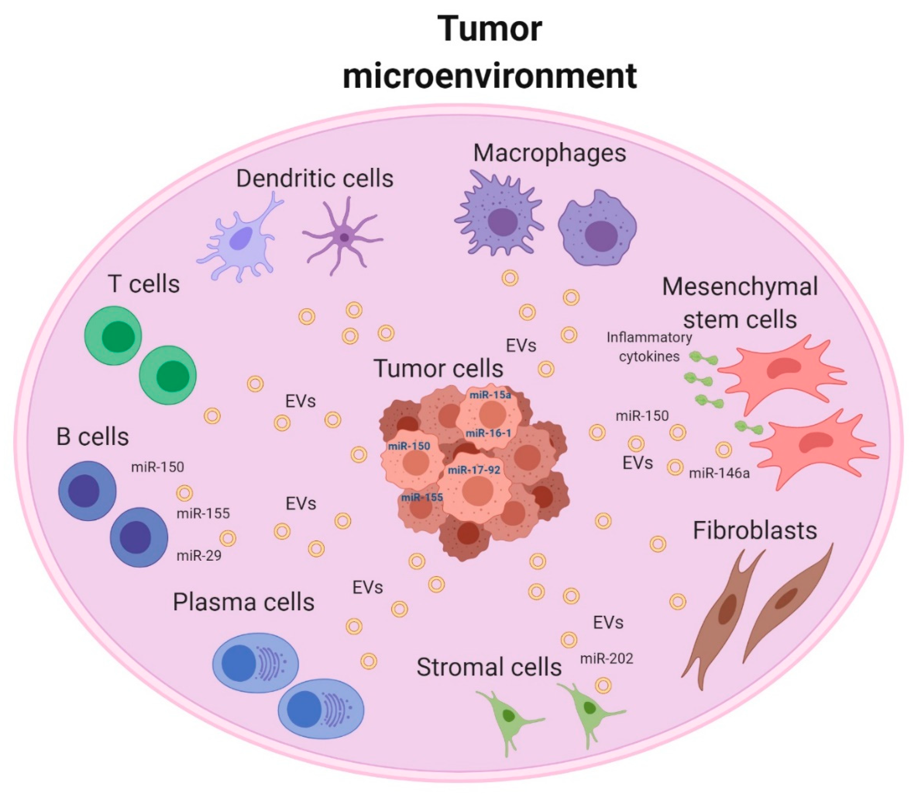 IJMS Free FullText The Interplay between MicroRNAs and the
