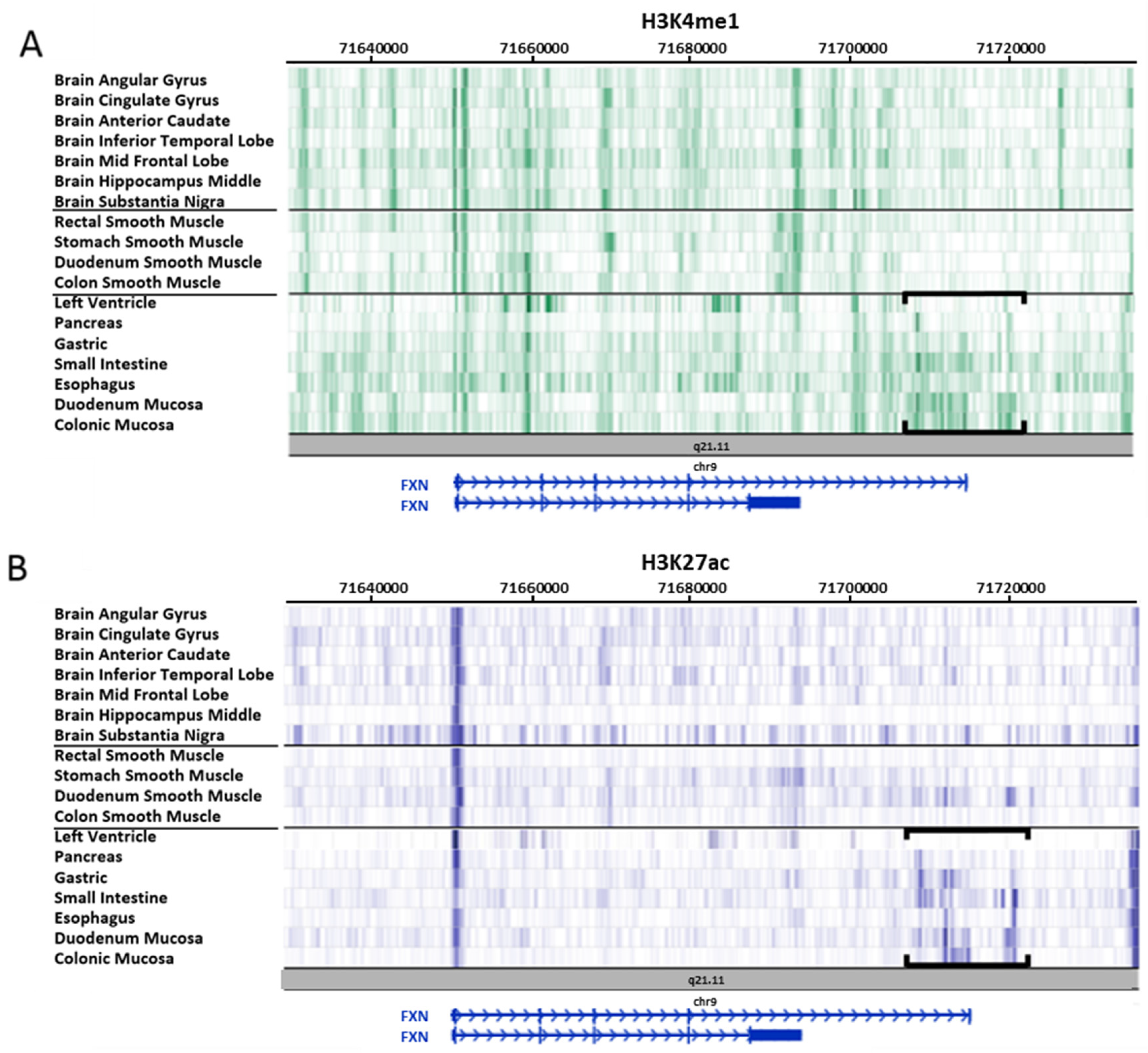 Ijms 21 03410 g004 Ijms 21 03410 g004