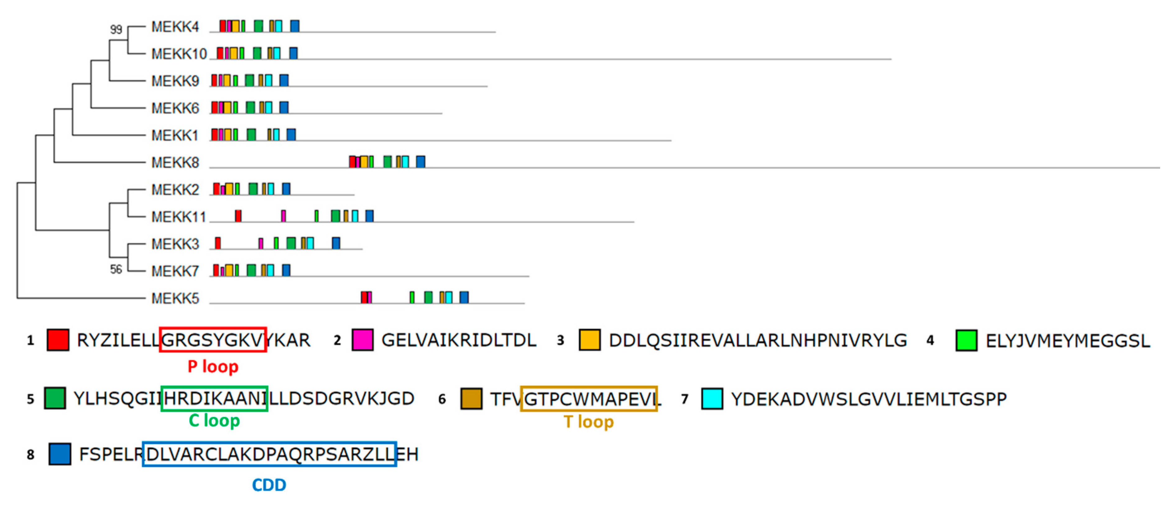 Ijms 21 03417 g008 Ijms 21 03417 g008