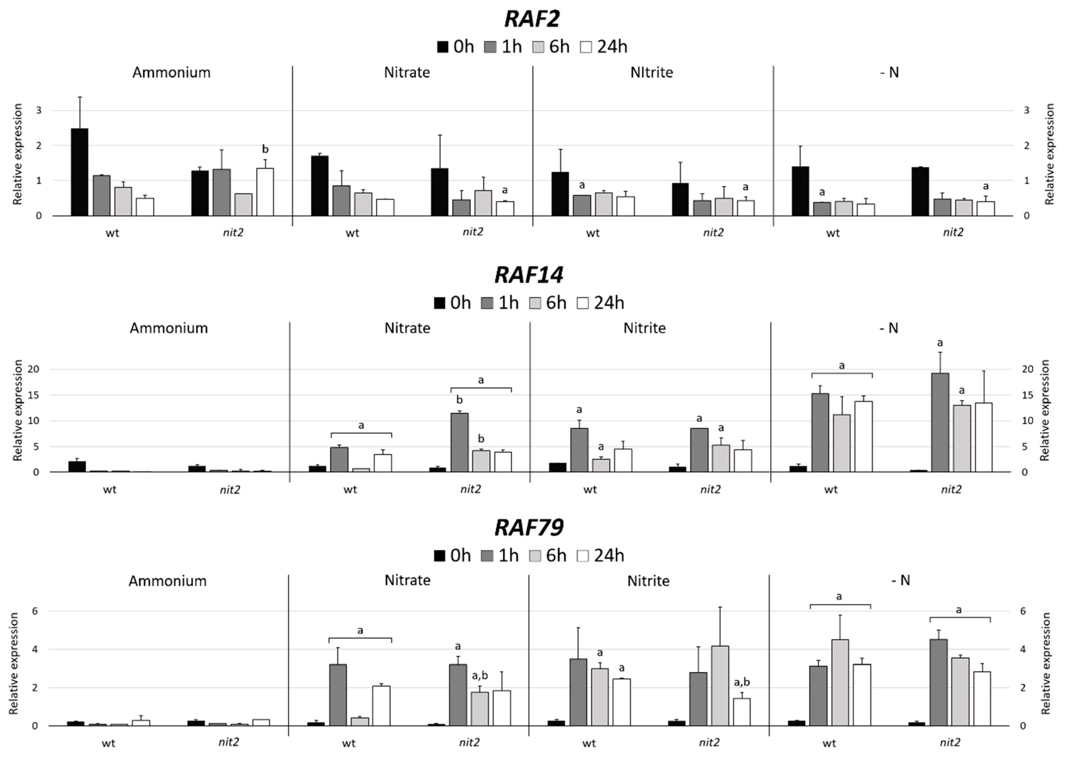 Ijms 21 03417 g011 Ijms 21 03417 g011