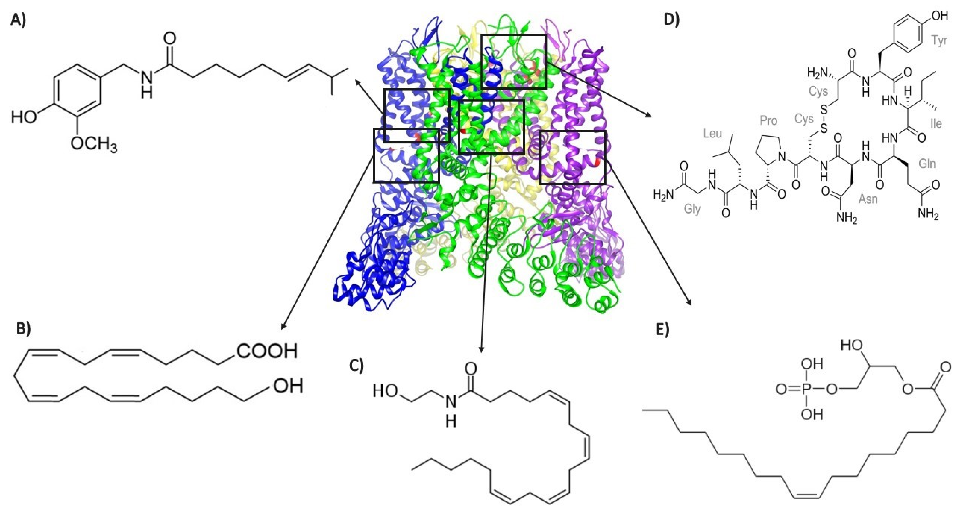 Ijms 21 03421 g001 Ijms 21 03421 g001