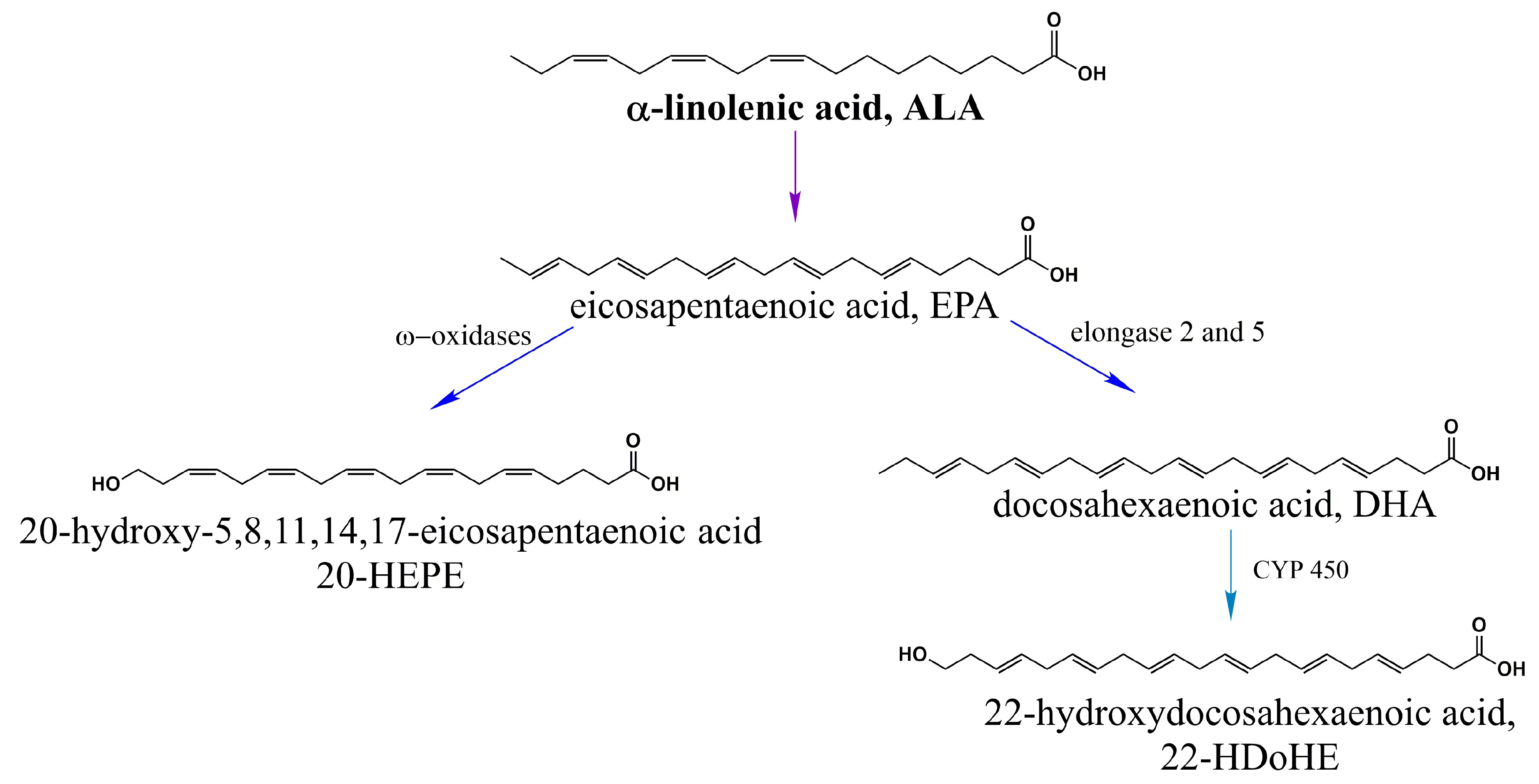 Ijms 21 03421 g003 Ijms 21 03421 g003
