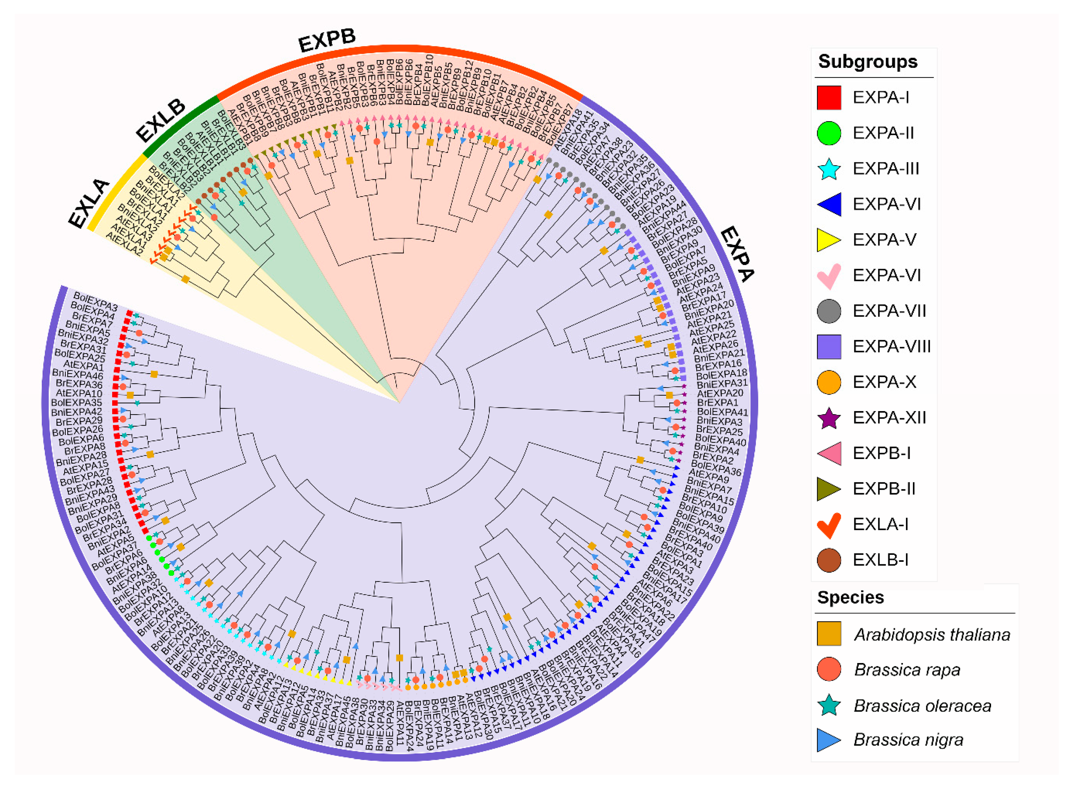 Ijms 21 03424 g002 Ijms 21 03424 g002