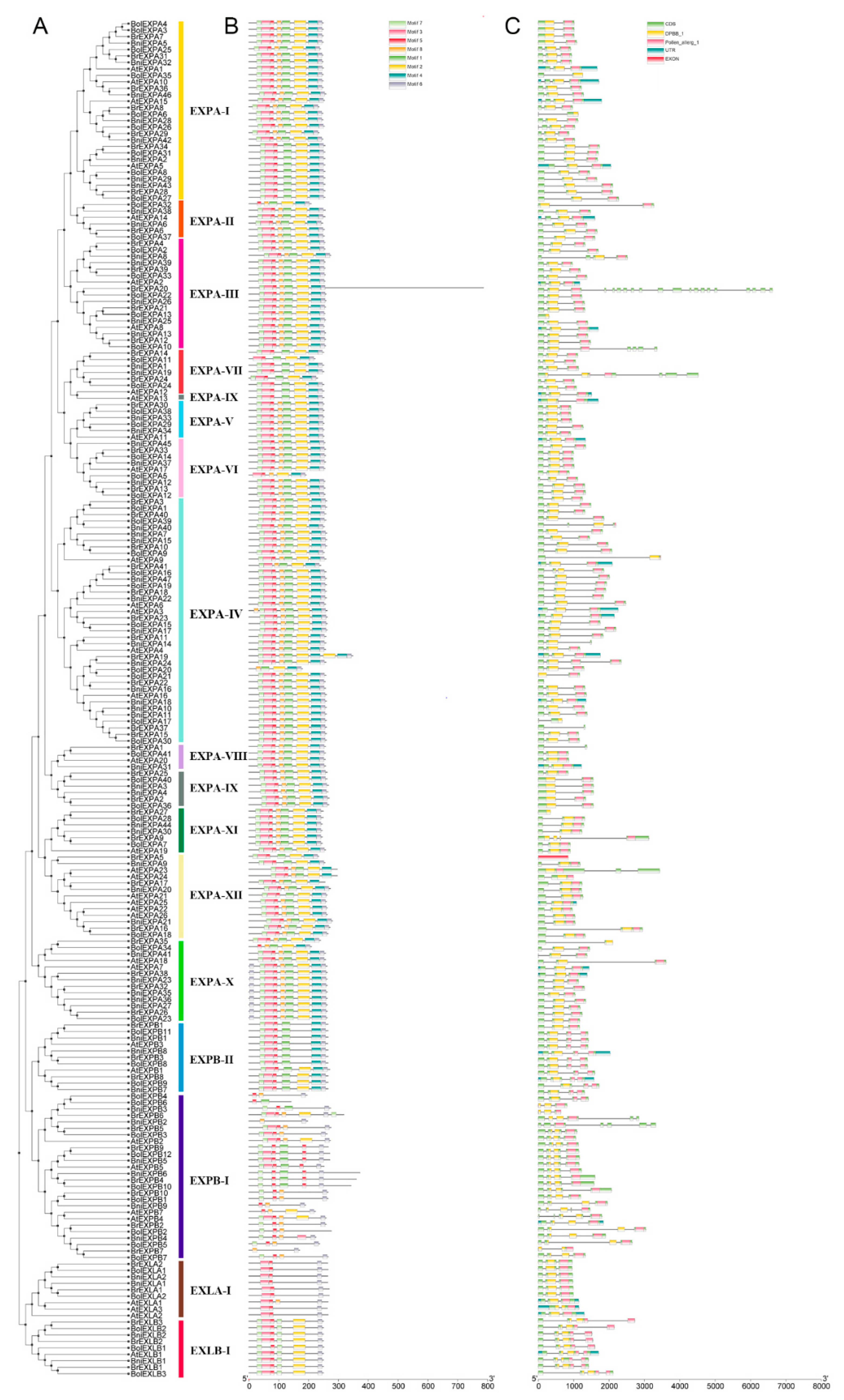 Ijms 21 03424 g003 Ijms 21 03424 g003