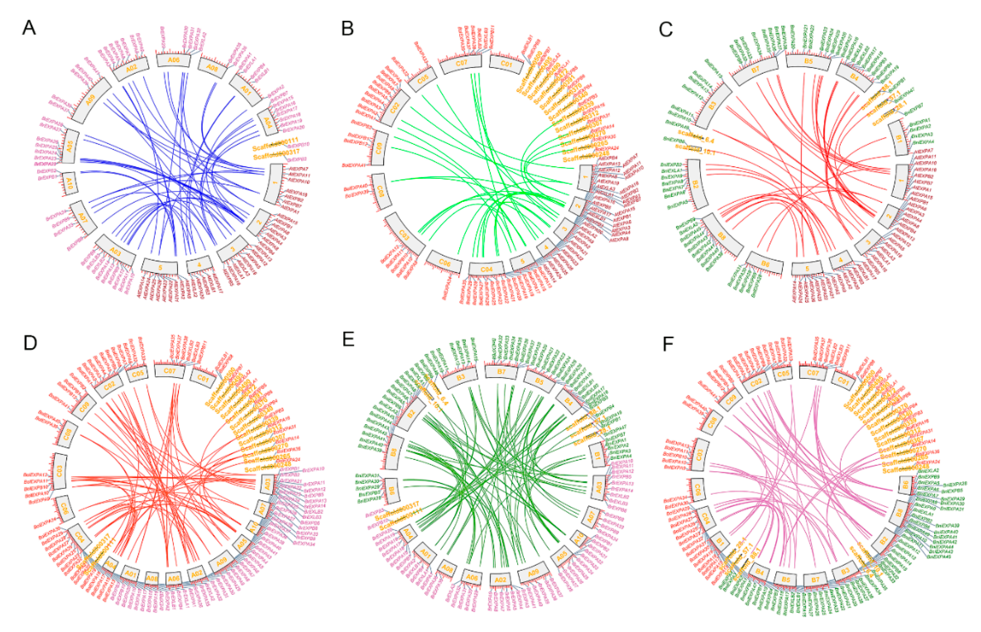 Ijms 21 03424 g005 Ijms 21 03424 g005