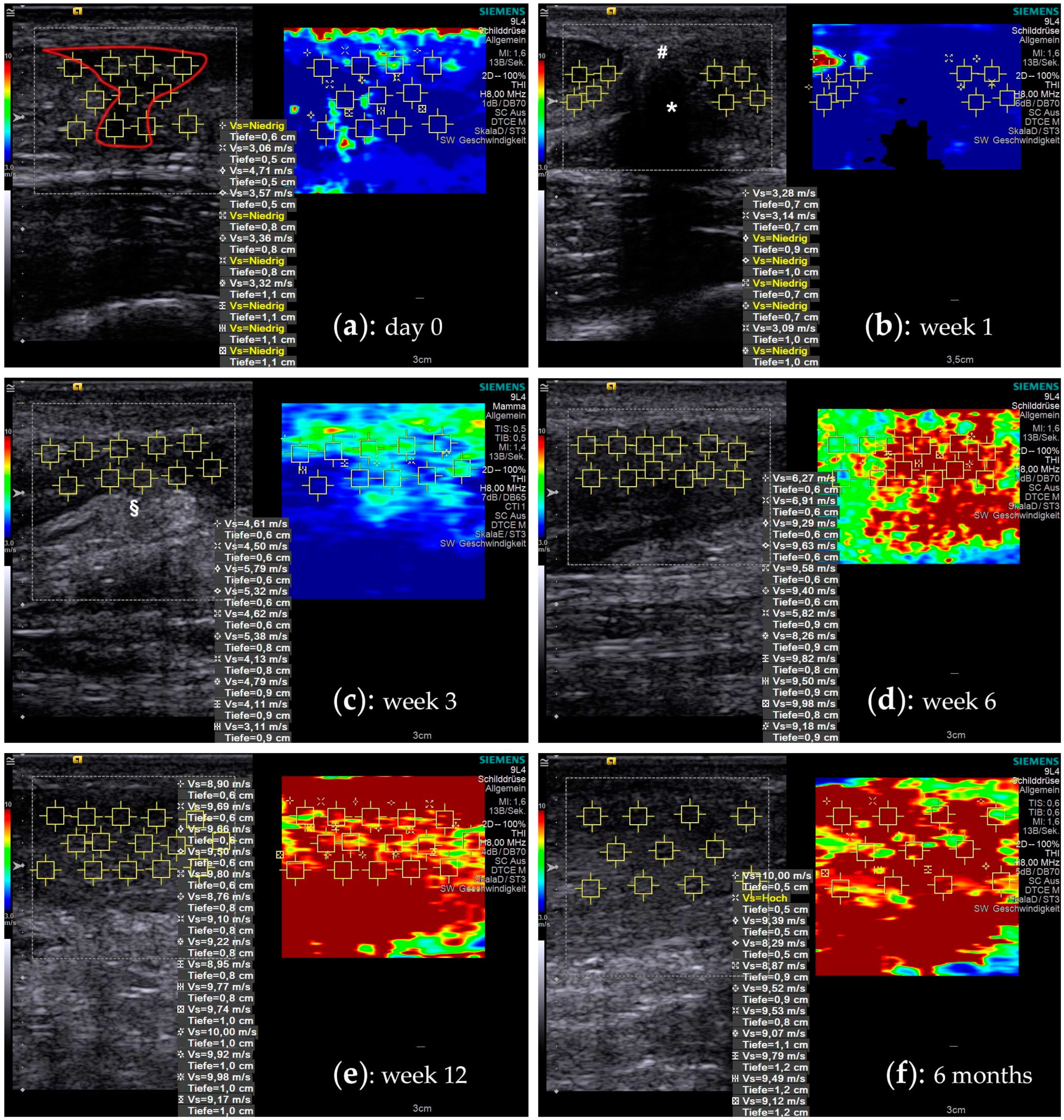 Ijms 21 03427 g001 Ijms 21 03427 g001