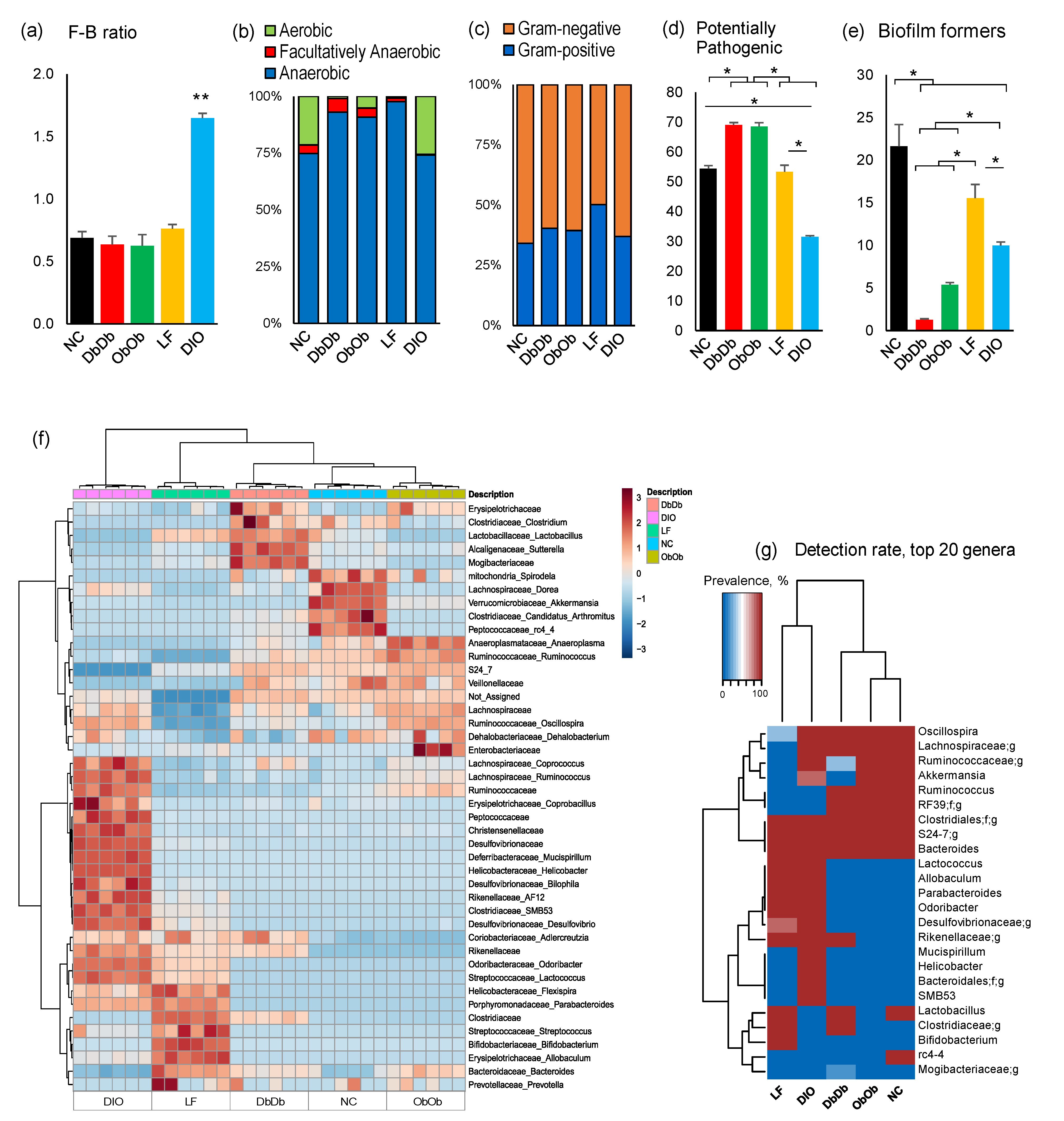 Ijms 21 03434 g002 Ijms 21 03434 g002
