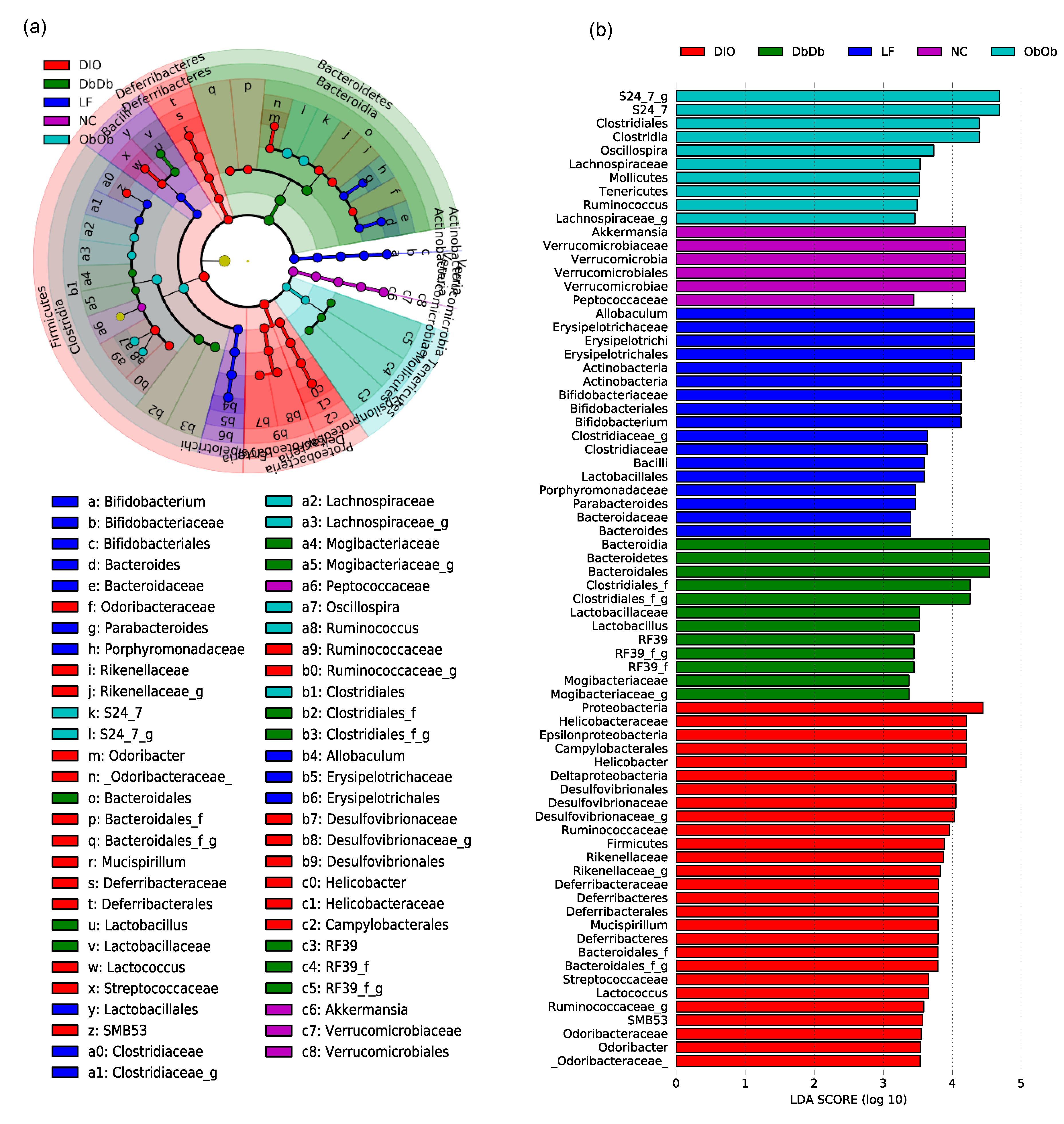 Ijms 21 03434 g003 Ijms 21 03434 g003