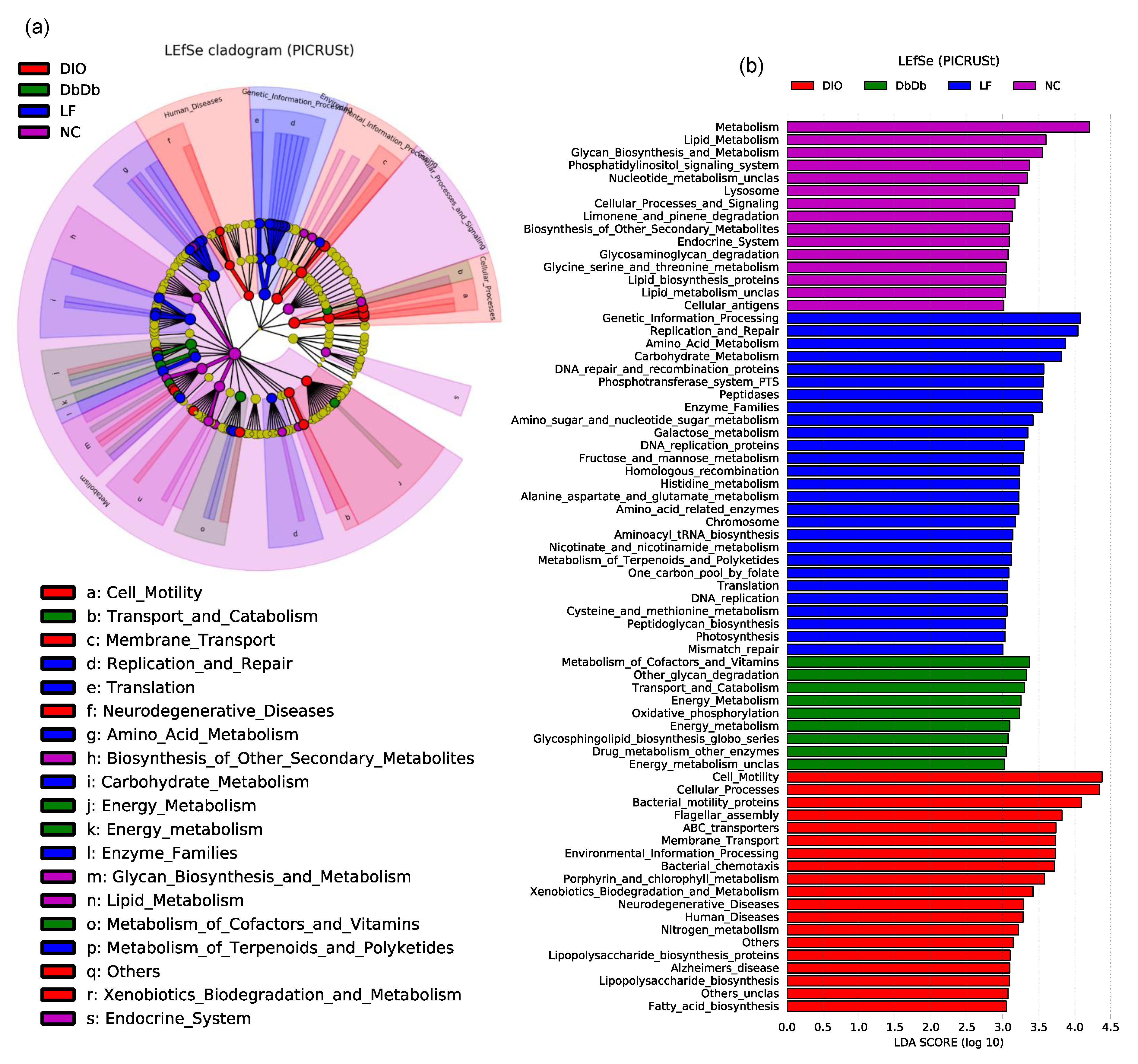 Ijms 21 03434 g004 Ijms 21 03434 g004