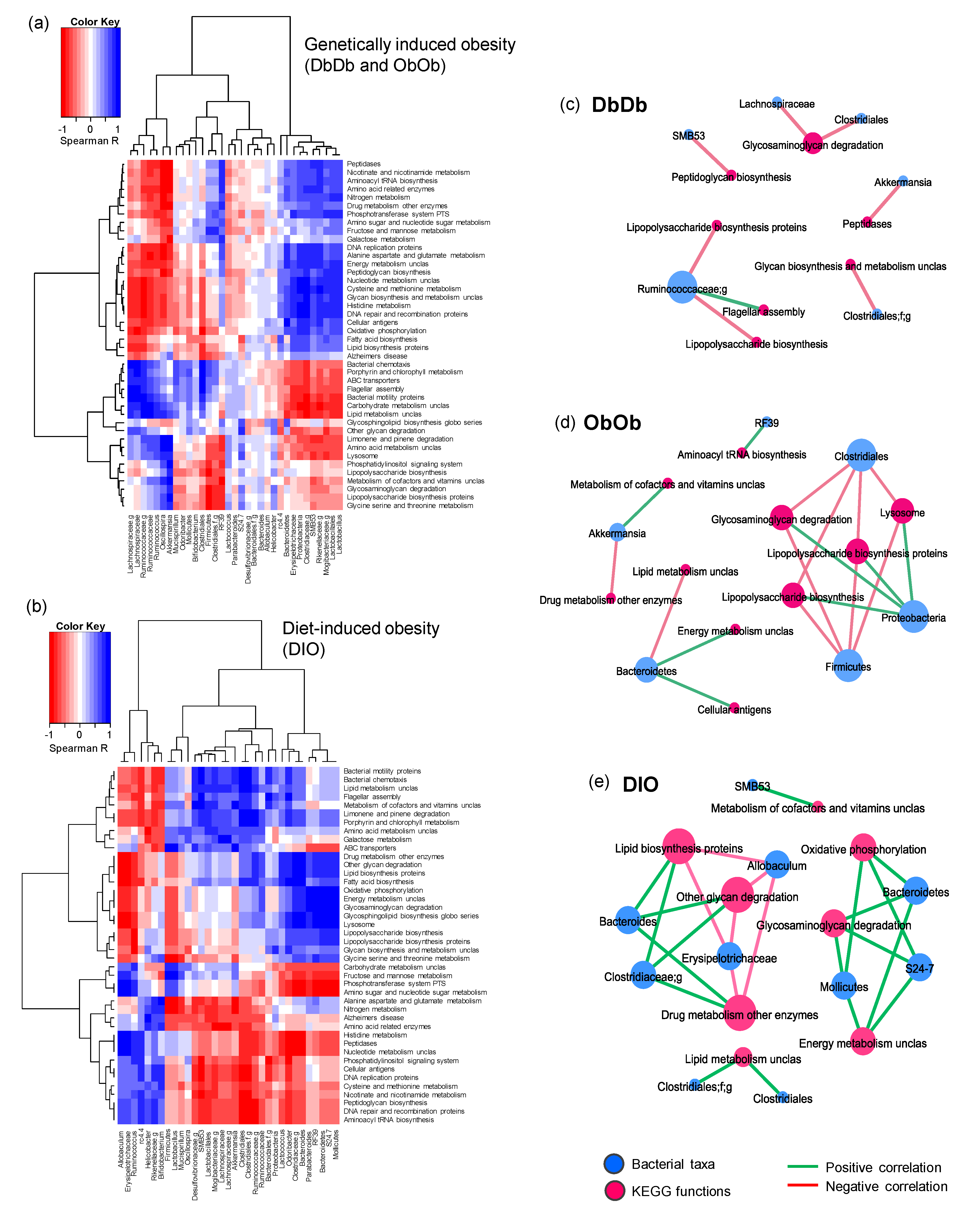 Ijms 21 03434 g005 Ijms 21 03434 g005