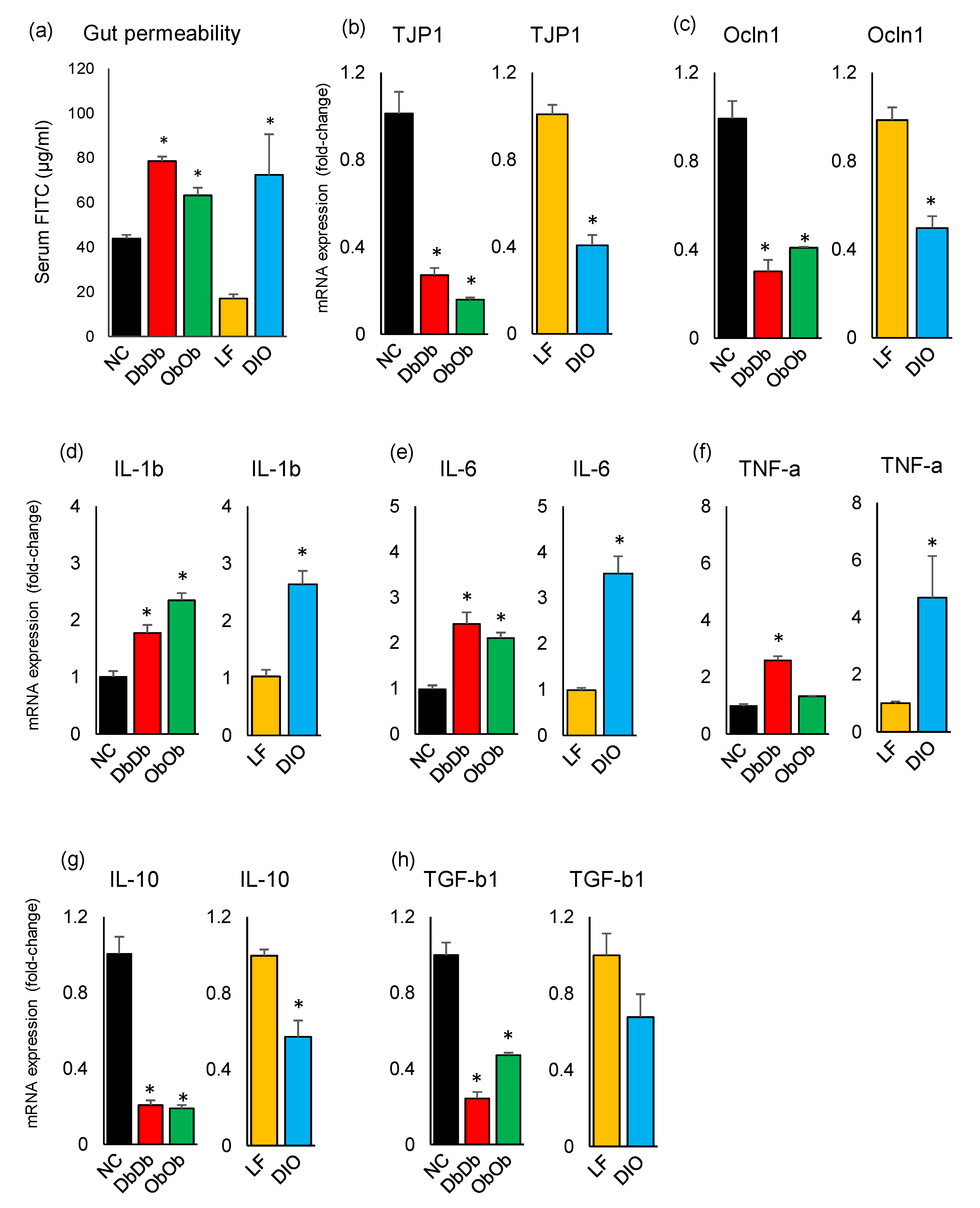 Ijms 21 03434 g006 Ijms 21 03434 g006