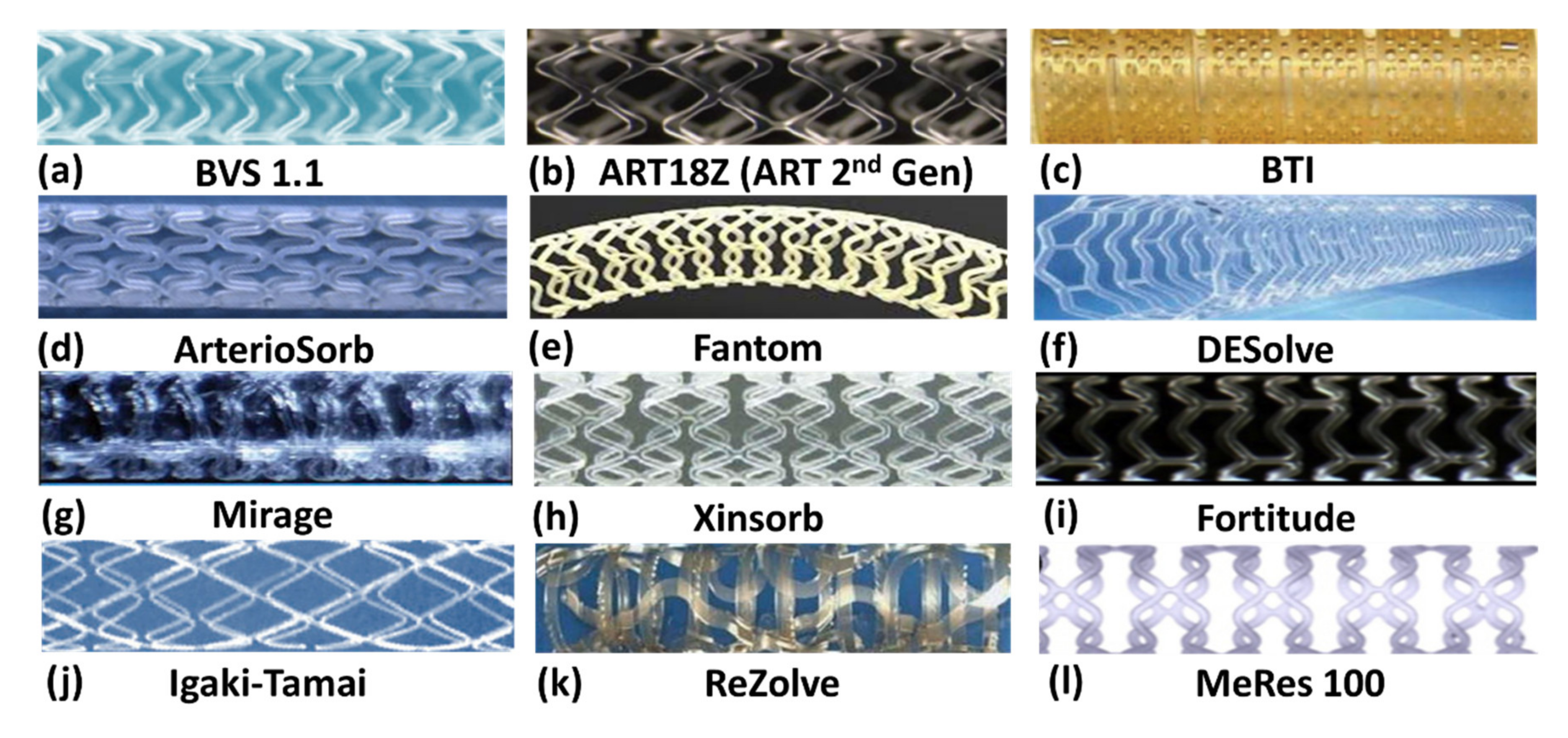 Ijms 21 03444 g003 Ijms 21 03444 g003