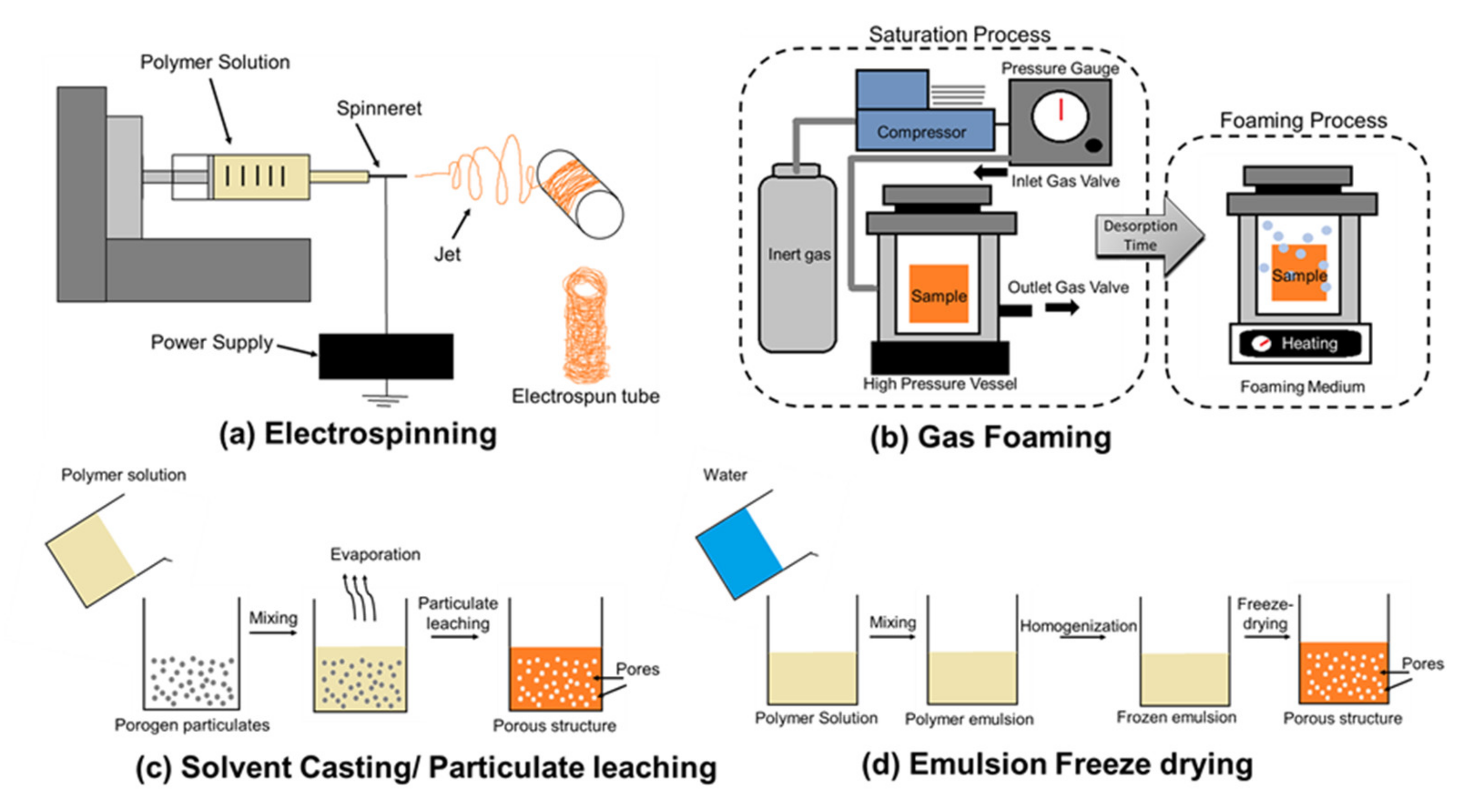 Ijms 21 03444 g005 Ijms 21 03444 g005