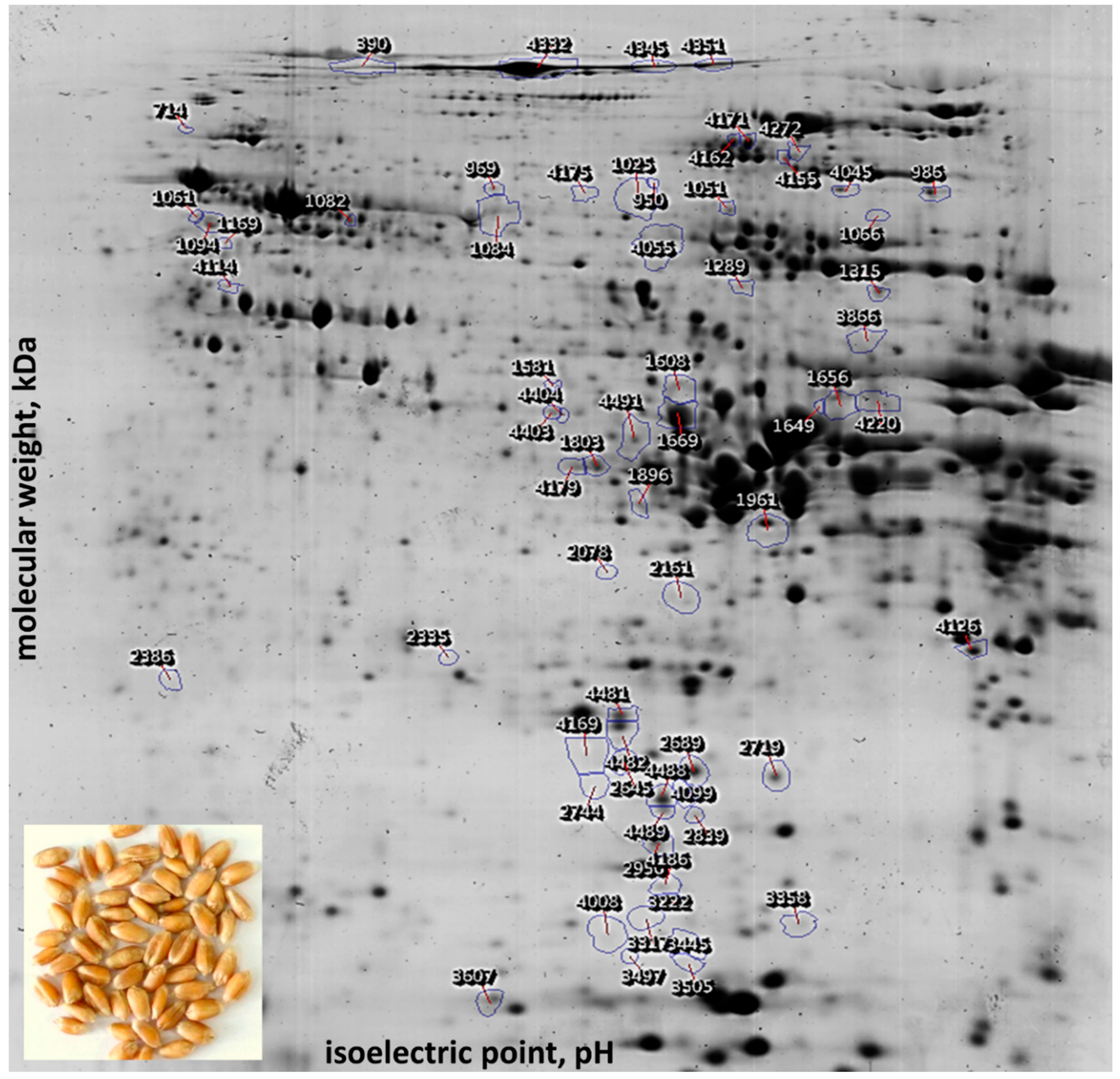 Ijms 21 03445 g001 Ijms 21 03445 g001