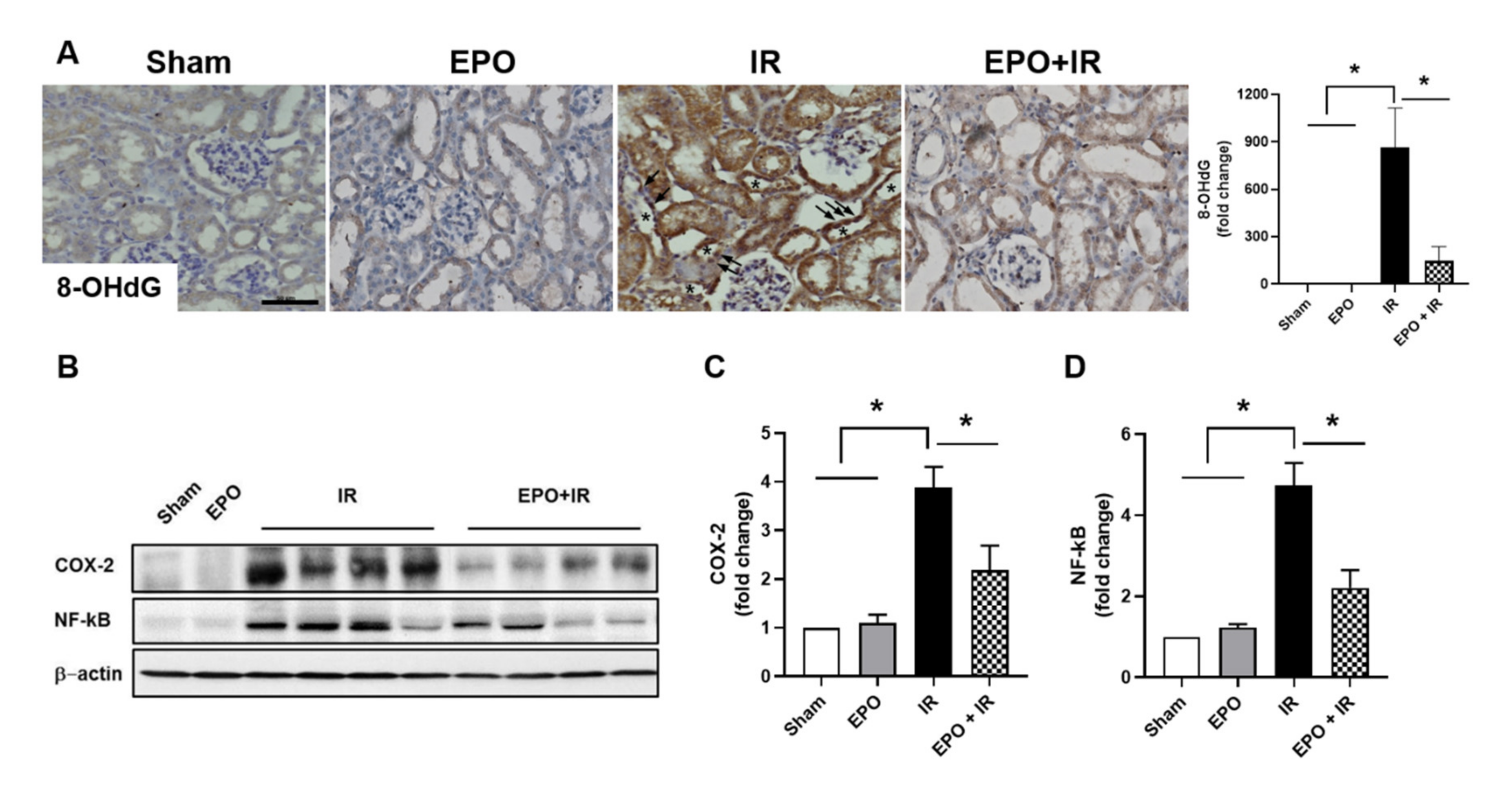 Ijms 21 03453 g003 Ijms 21 03453 g003