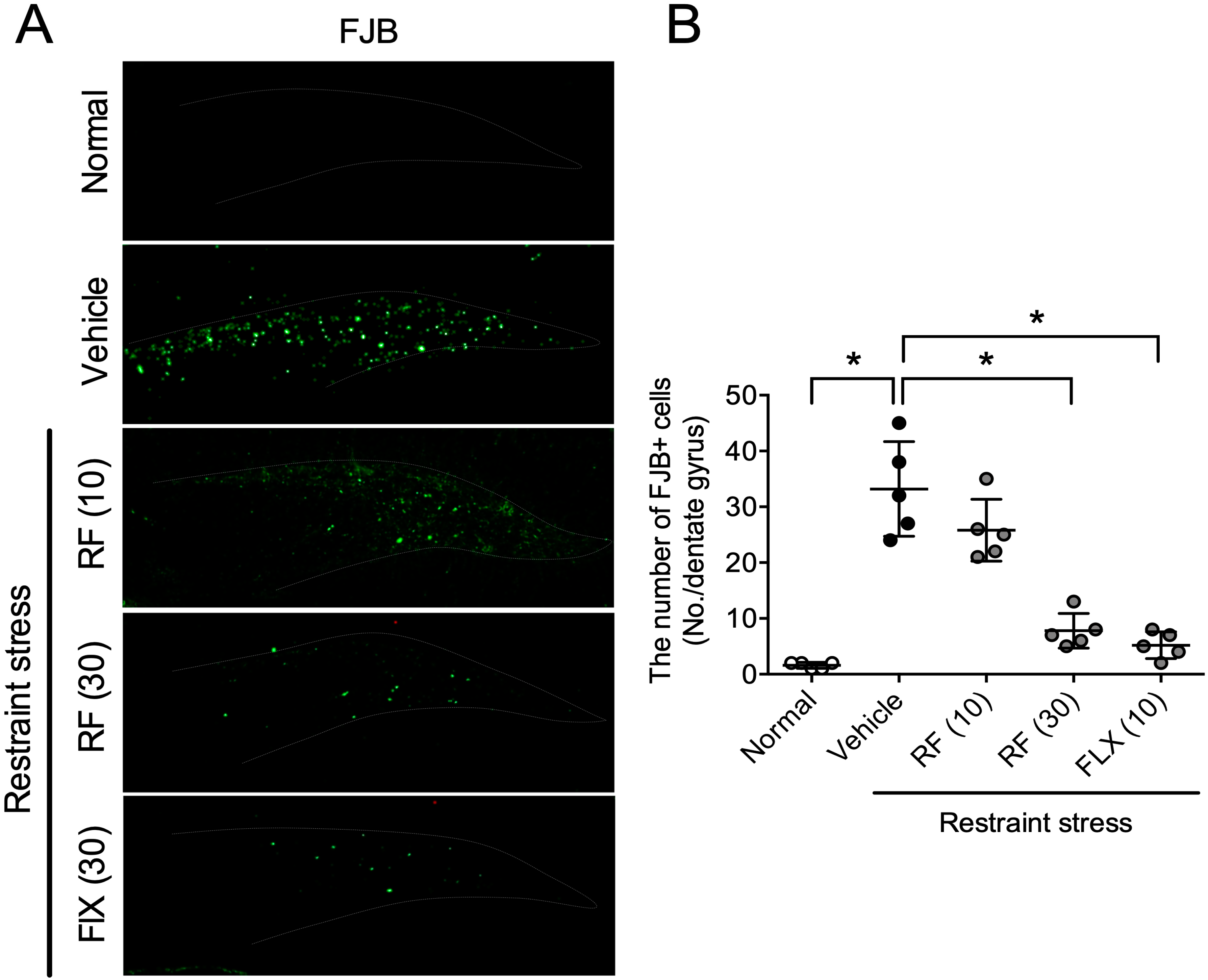 Ijms 21 03454 g002 Ijms 21 03454 g002
