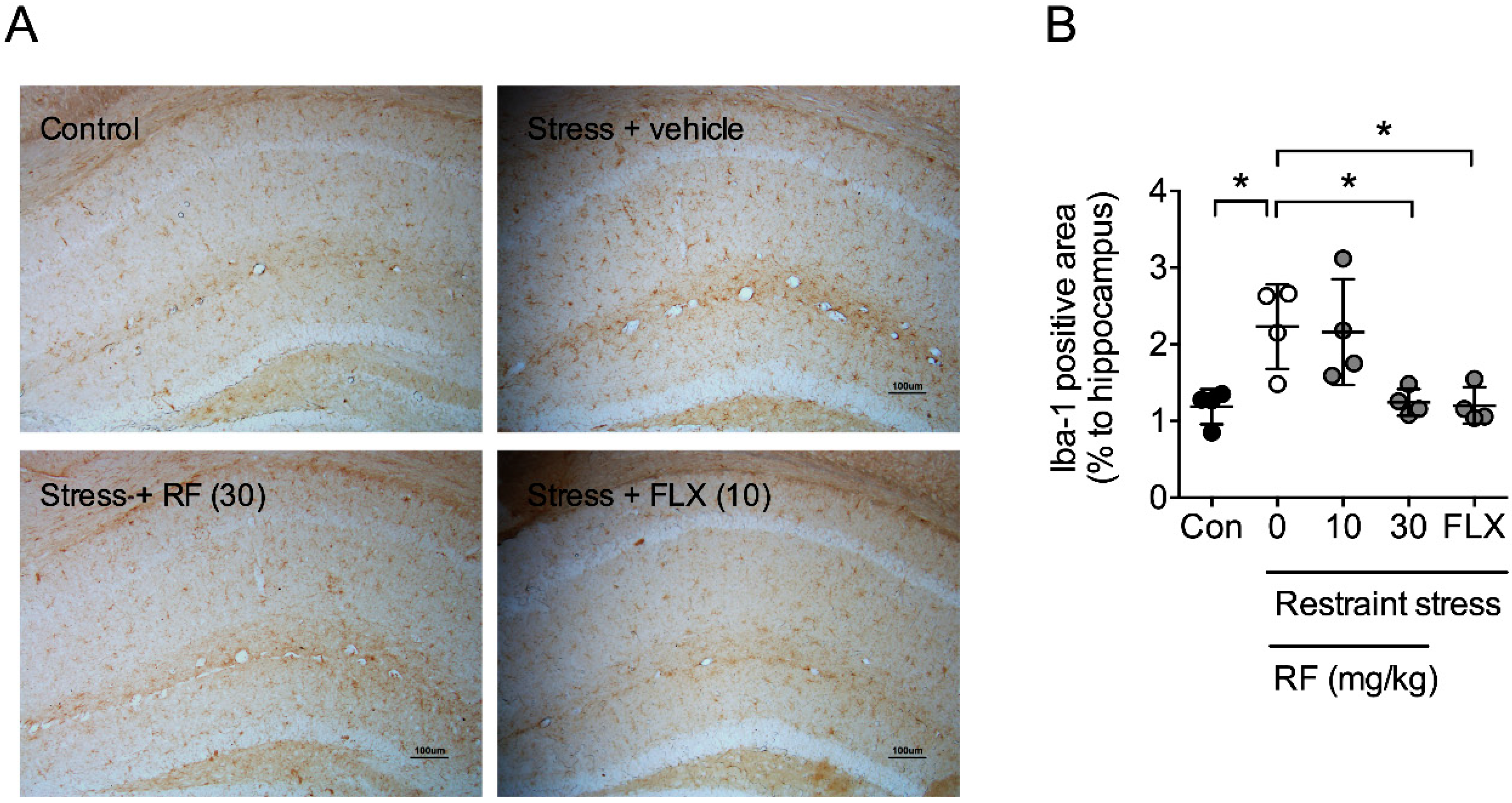 Ijms 21 03454 g004 Ijms 21 03454 g004