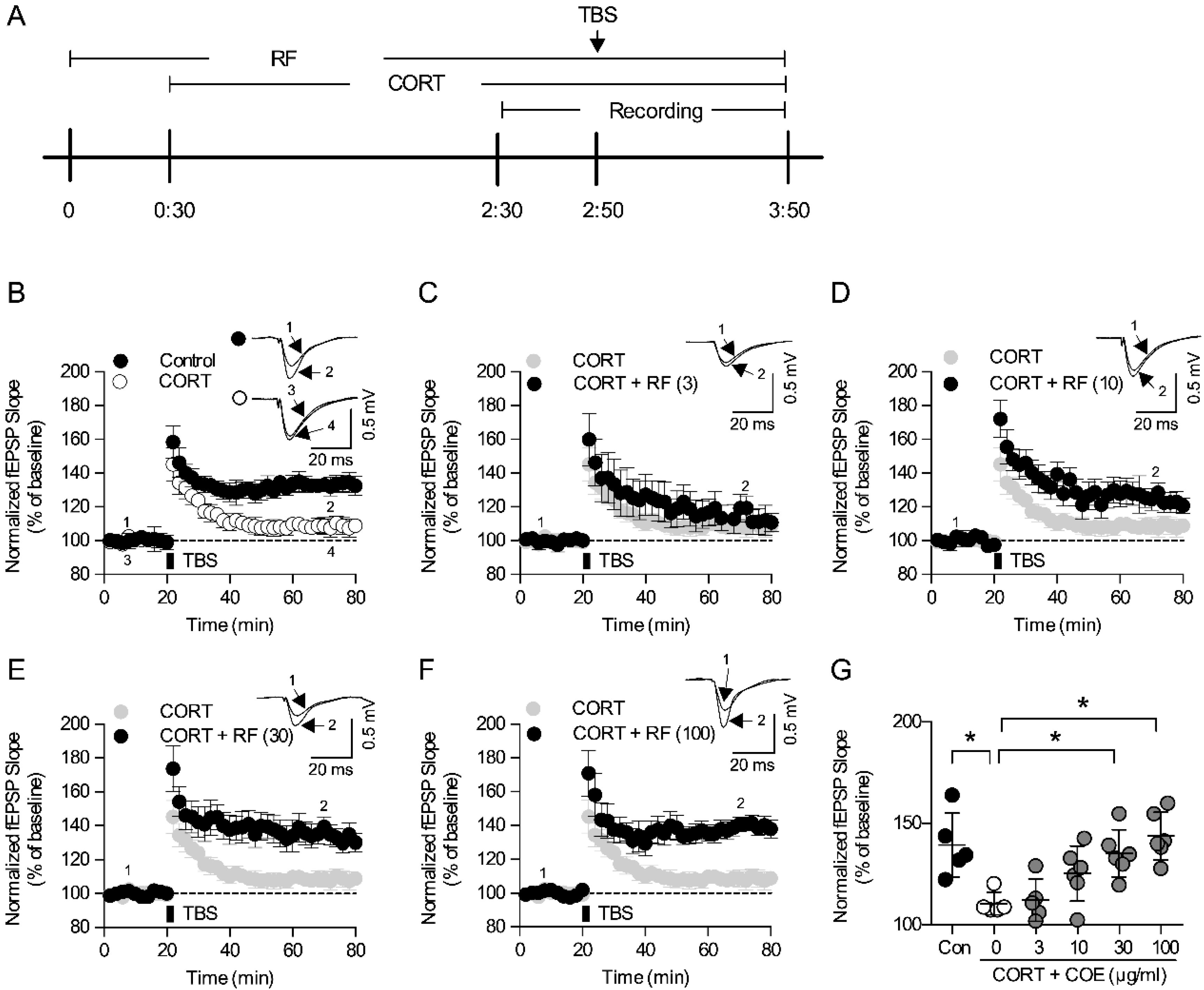 Ijms 21 03454 g006 Ijms 21 03454 g006